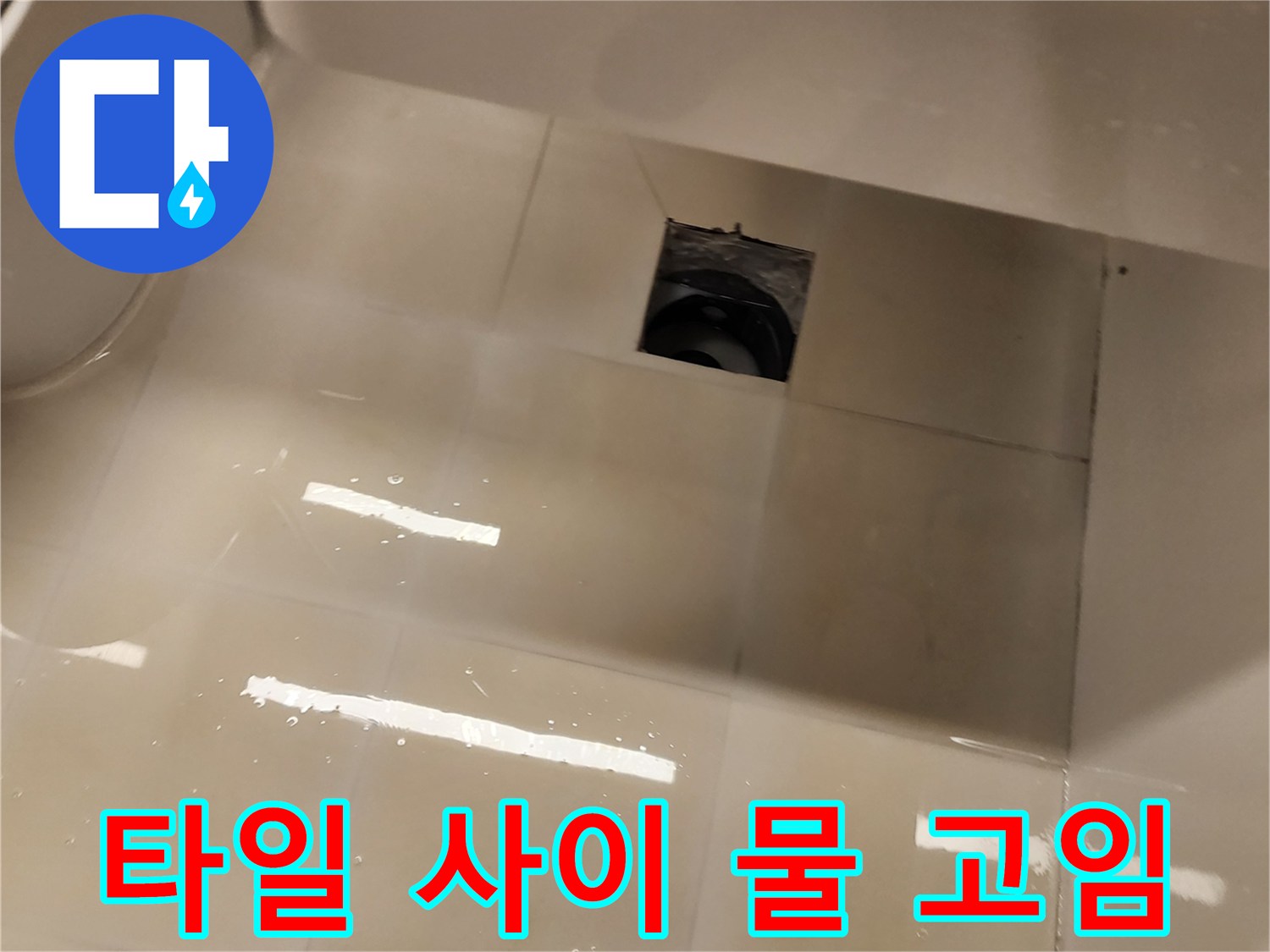 타일 줄눈 부위에 물이 스며들어 정체된 모습