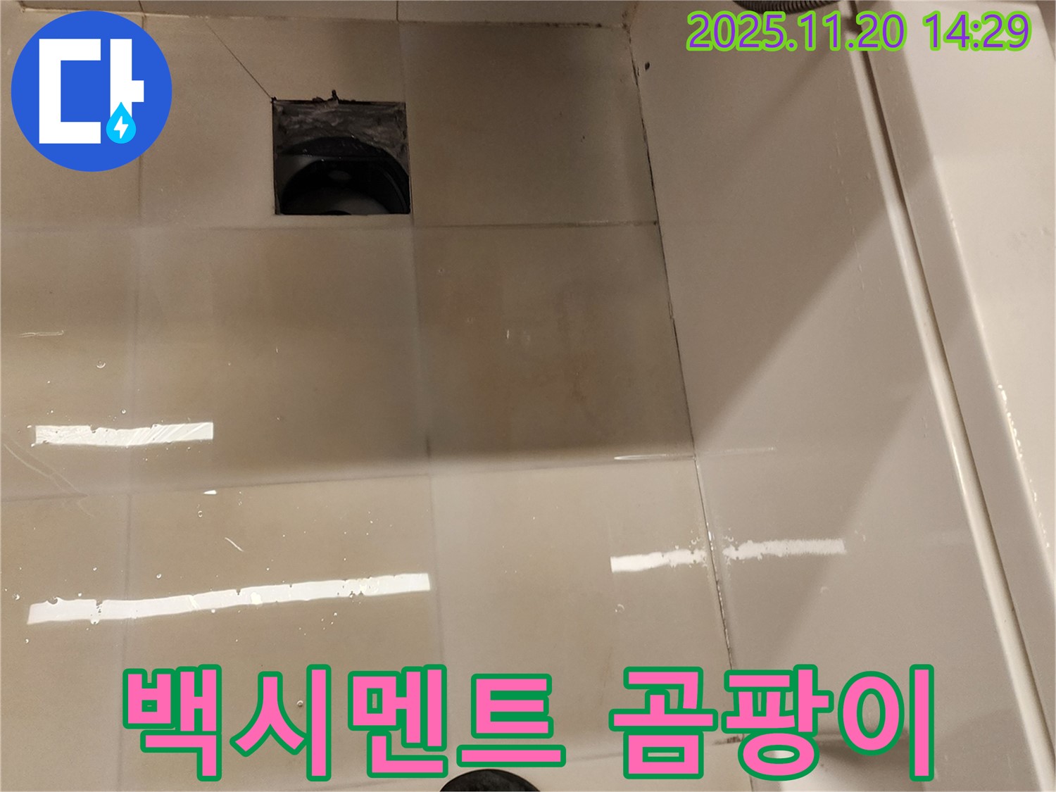 포천 가산 욕실 배수구 누수 - 백시멘트 손상 및 곰팡이 발생 상태 점검