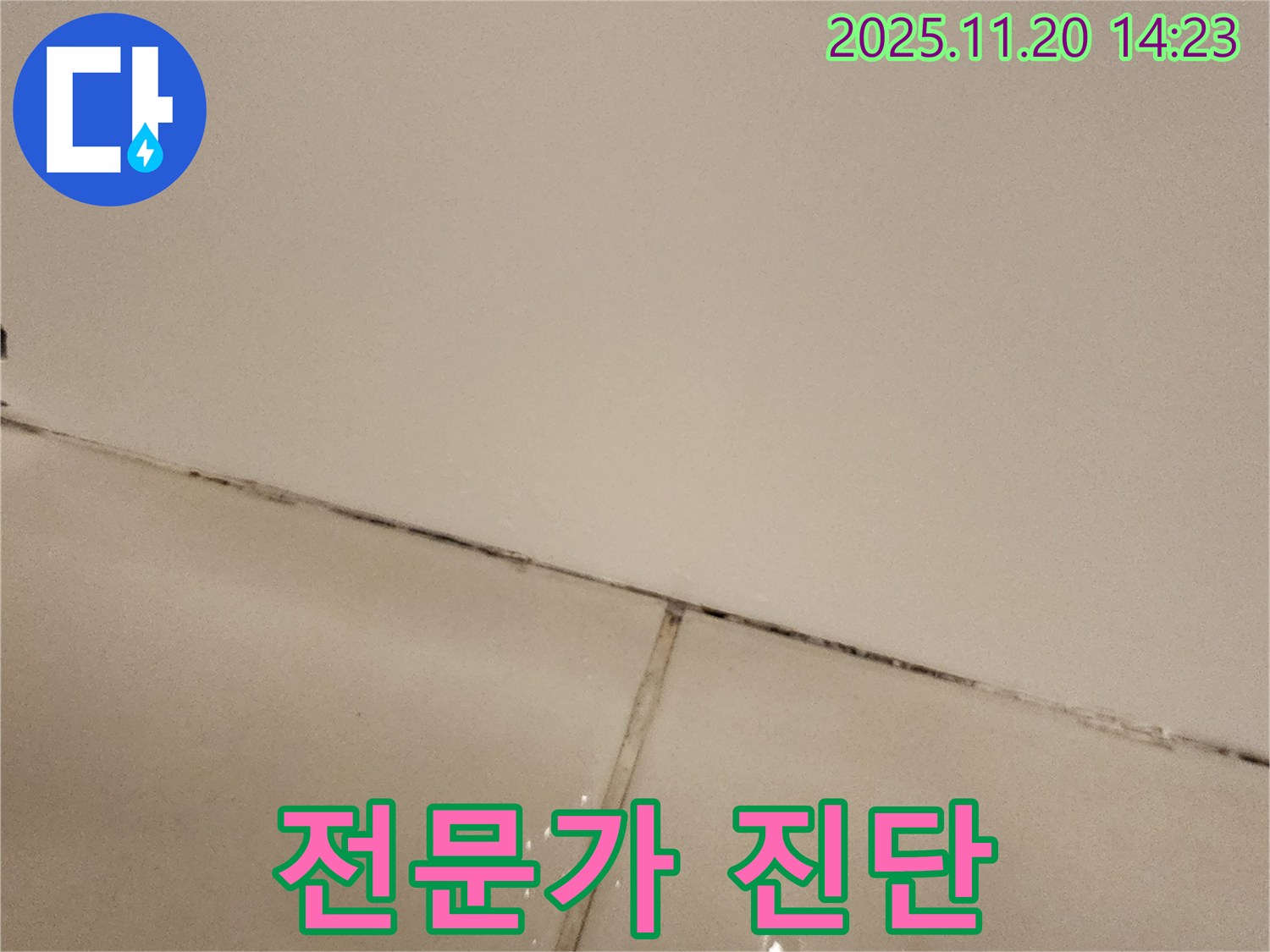포천 가산면 마산리 - 곰팡이 슨 타일 틈새, 전문가 진단