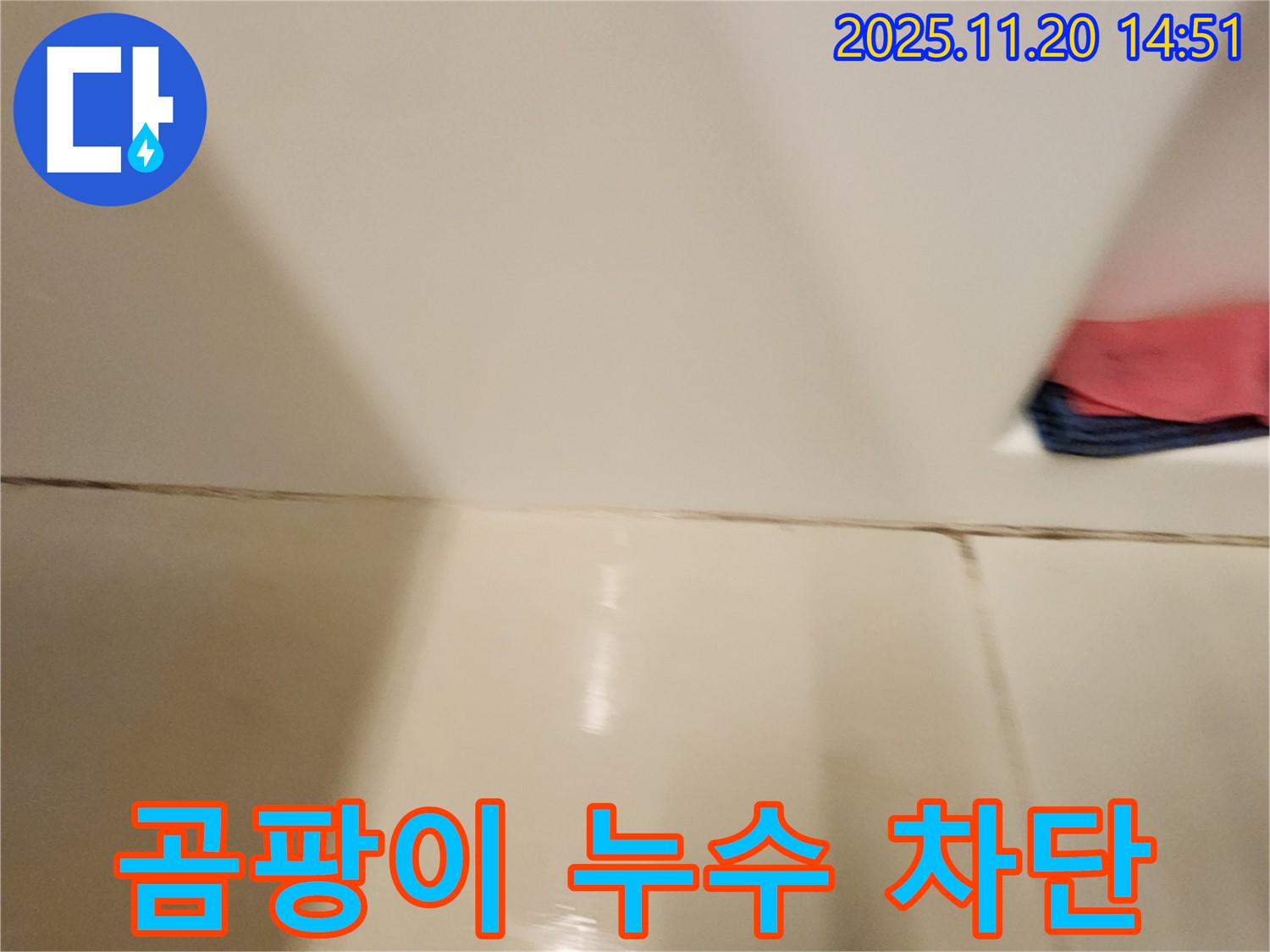 포천 마산리 곰팡이 핀 타일 틈새 누수 - 곰팡이 제거와 완벽 방수 시공으로 누수 원천 봉쇄!
