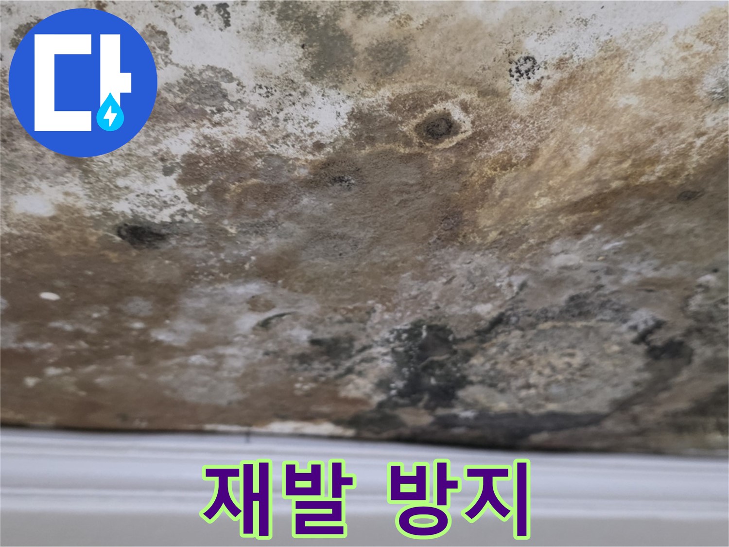 곰팡이 제거 후 재발 방지 시공 - 꼼꼼한 약품 처리