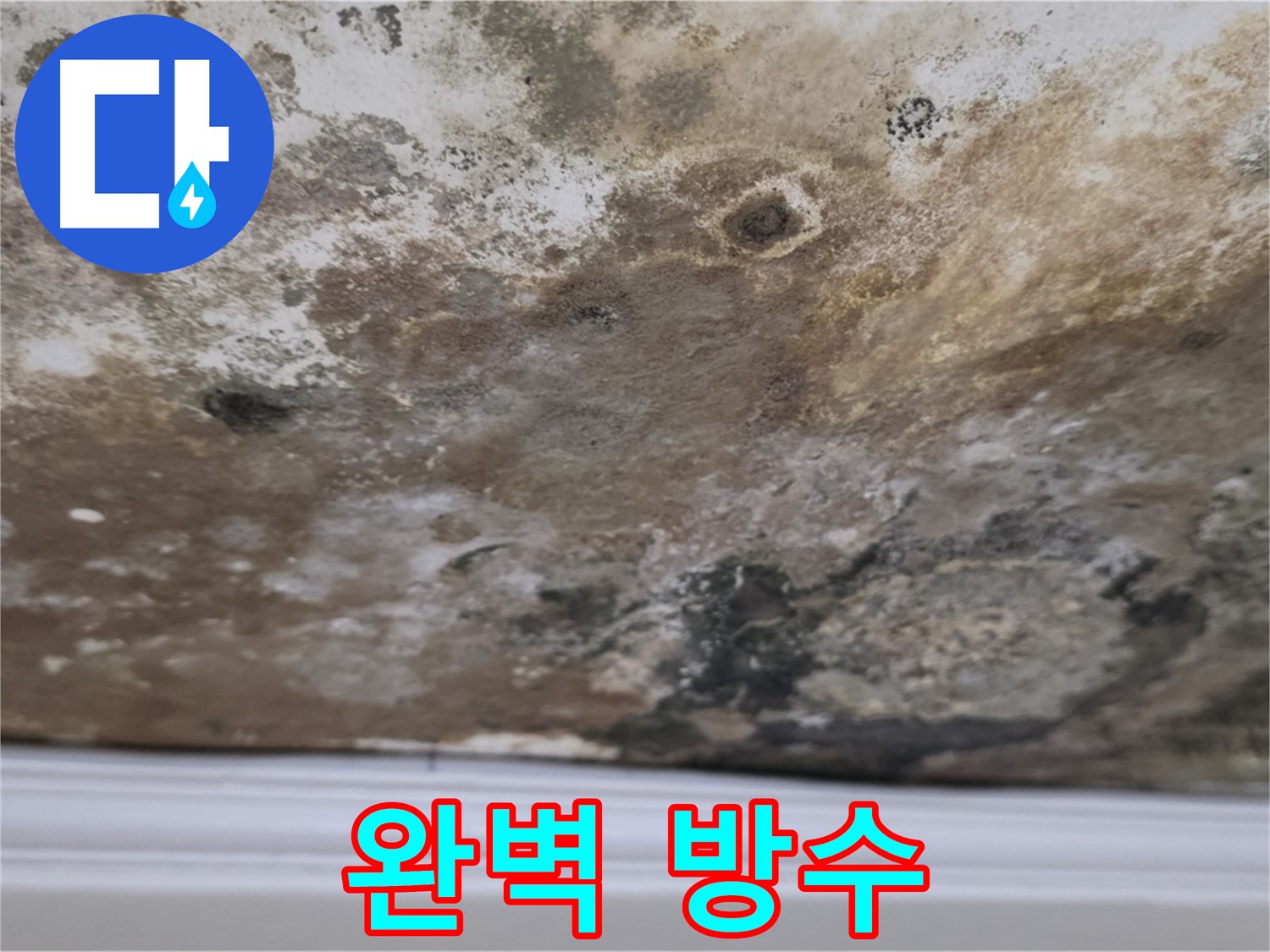곰팡이 천장 - 완벽 방수 시공으로 마무리