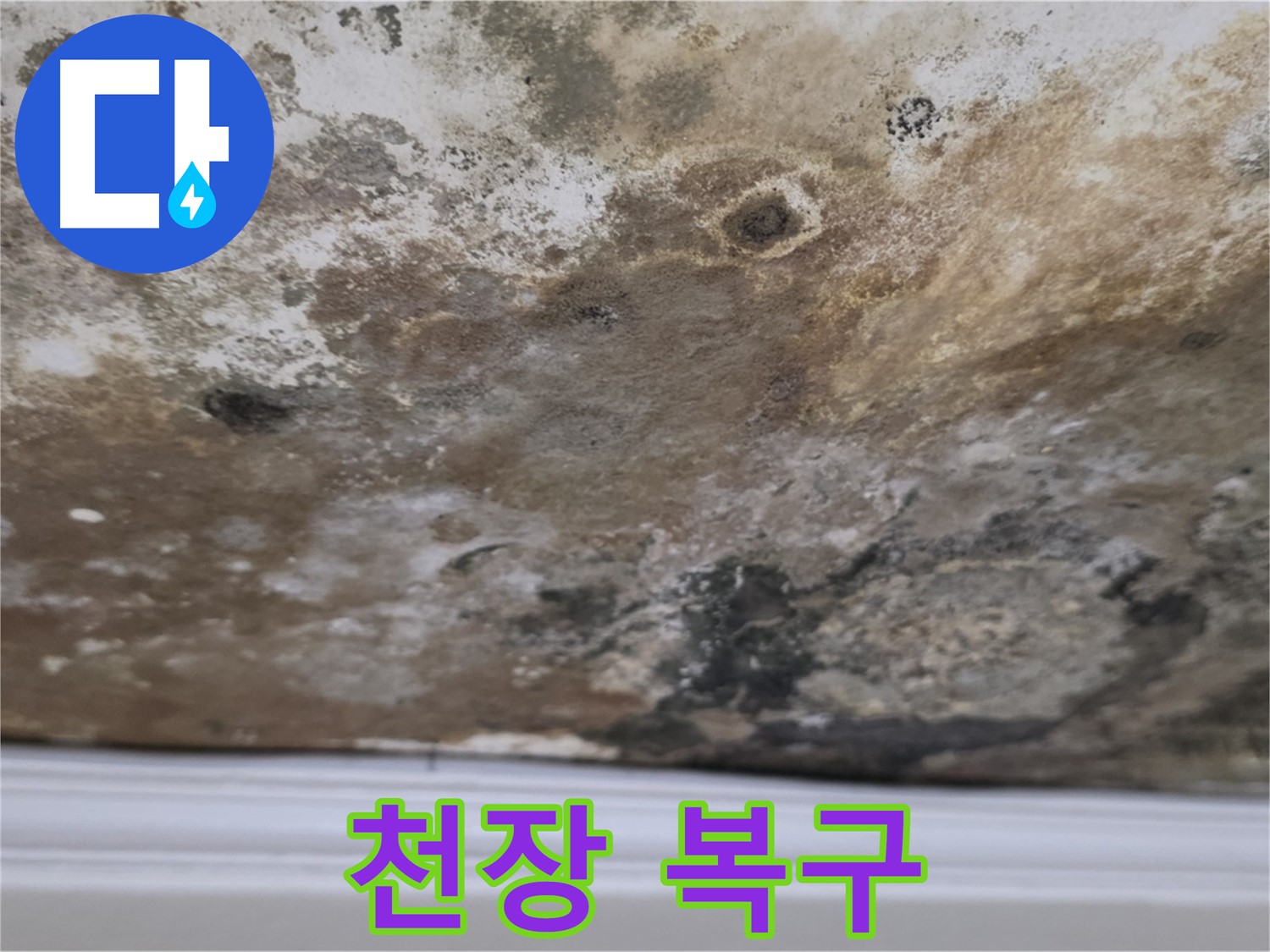 누수와 곰팡이 제거 후 복구된 천장 - 깨끗하게 복구된 천장의 모습입니다.