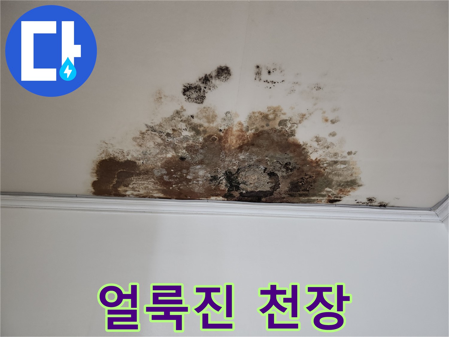 마포구 누수 - 곰팡이, 얼룩진 천장