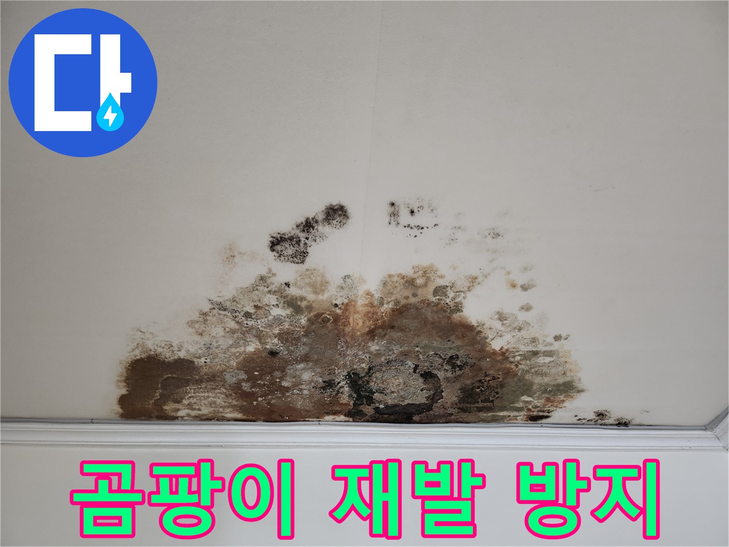 마포구 누수 해결 - 곰팡이 천장 완벽 제거 및 재발 방지 시공