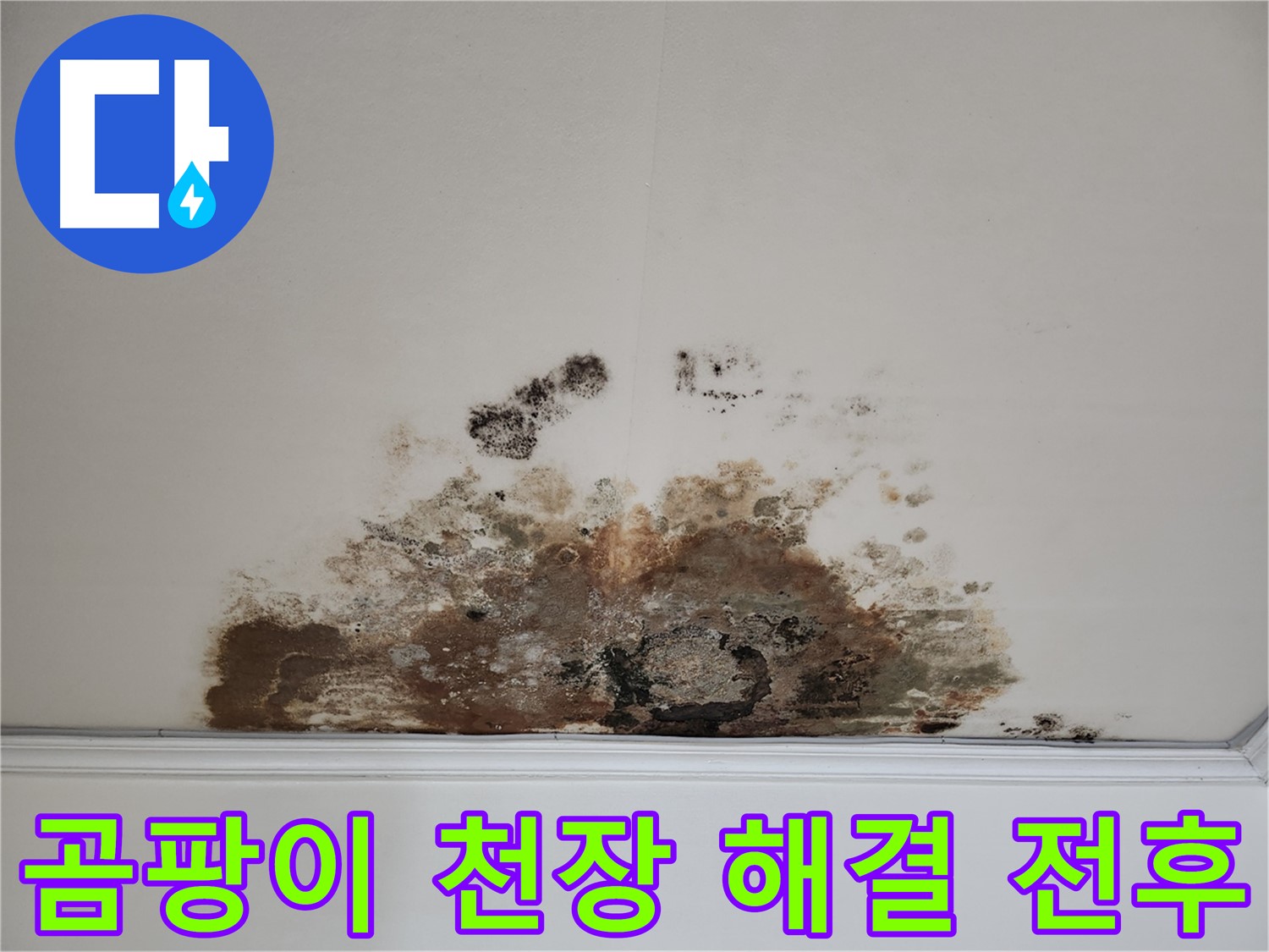 마포구 아파트 누수 - 곰팡이 천장 완벽 해결! Before & After 공개