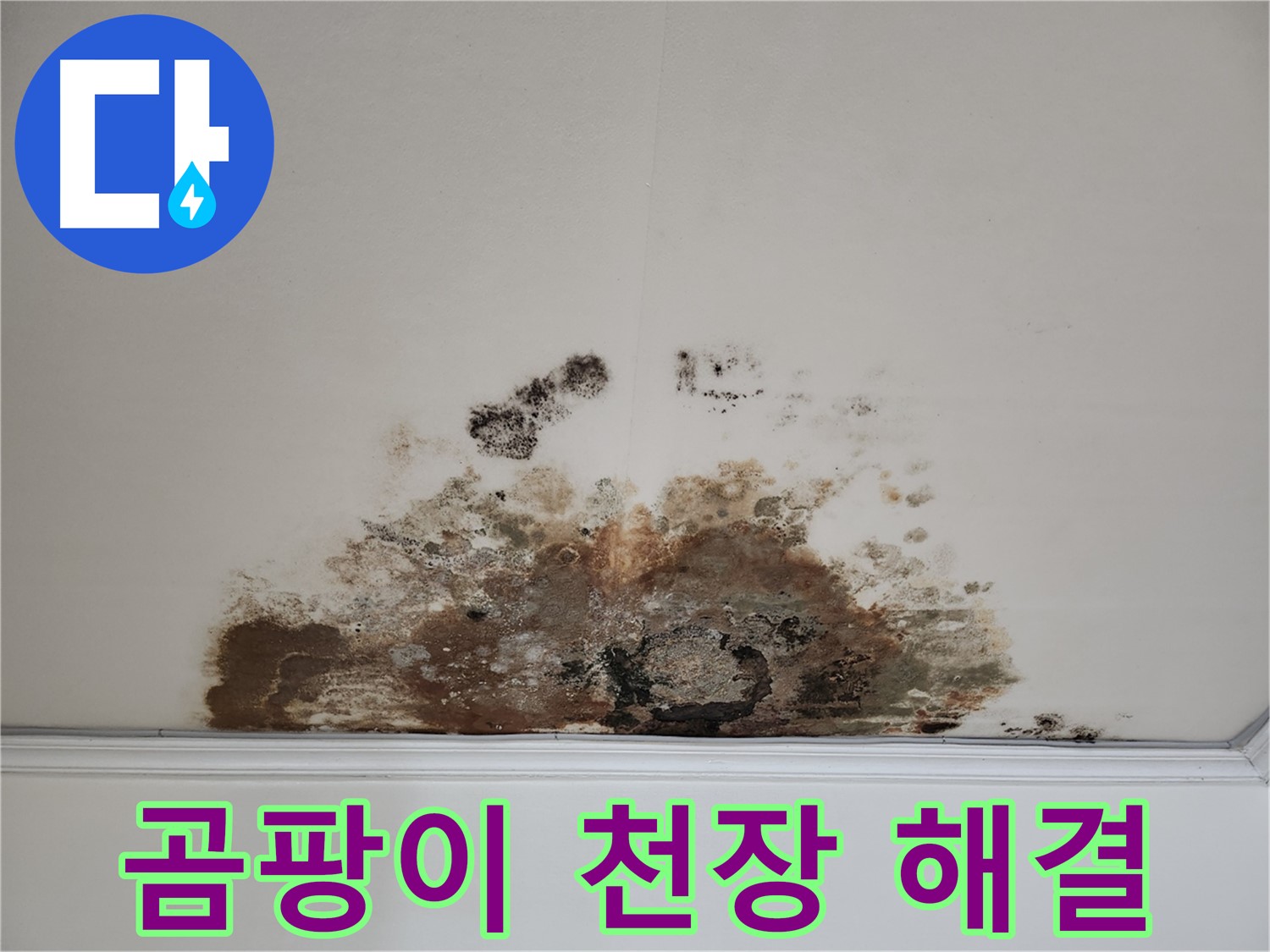 마포구 아파트 천장 누수 - 곰팡이 완벽 해결 비법 공개