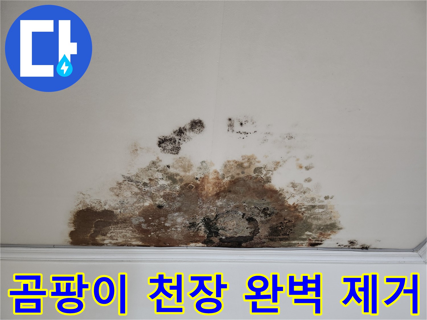마포구 용강동 곰팡이 천장 완벽 제거 - 철저한 A/S 약속