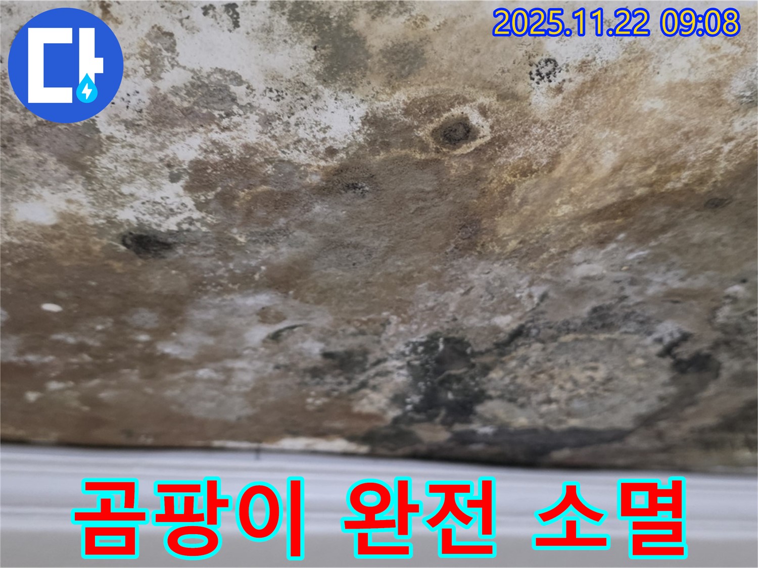 마포구 용강동 누수 - 곰팡이 완전 소멸, 건강한 천장으로 리턴!