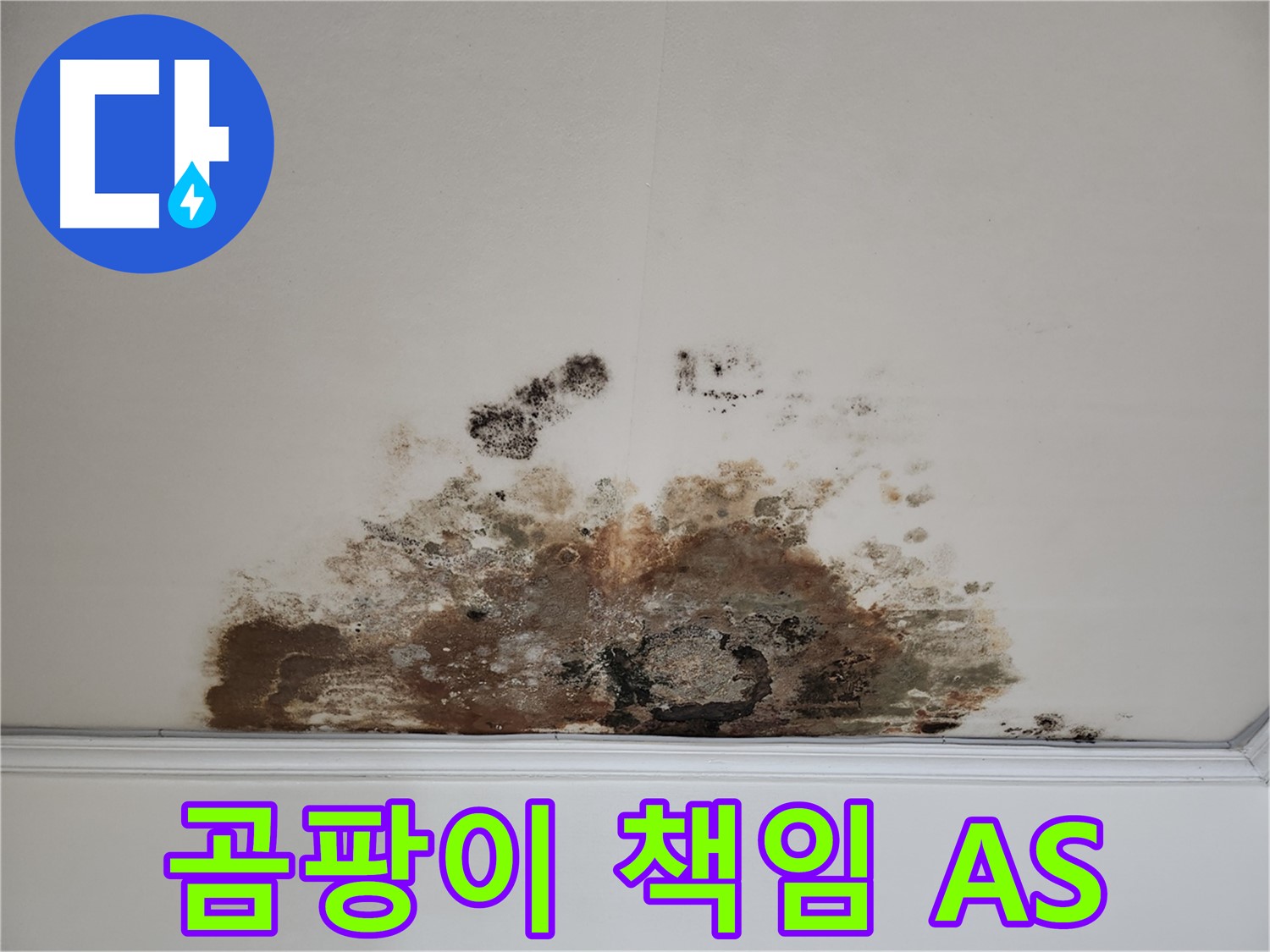 마포구 용강동 누수 - 곰팡이 천장, 철저한 A/S 및 끝까지 책임