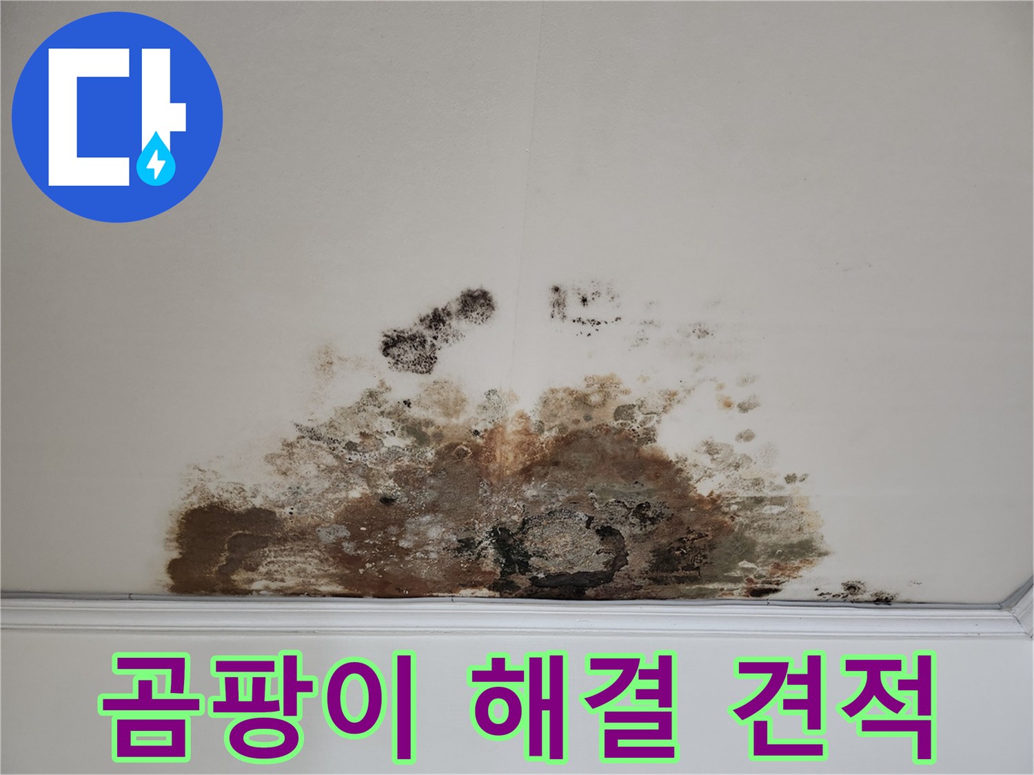 마포구 용강동 누수 - 곰팡이 천장 합리적 견적 및 완벽 해결