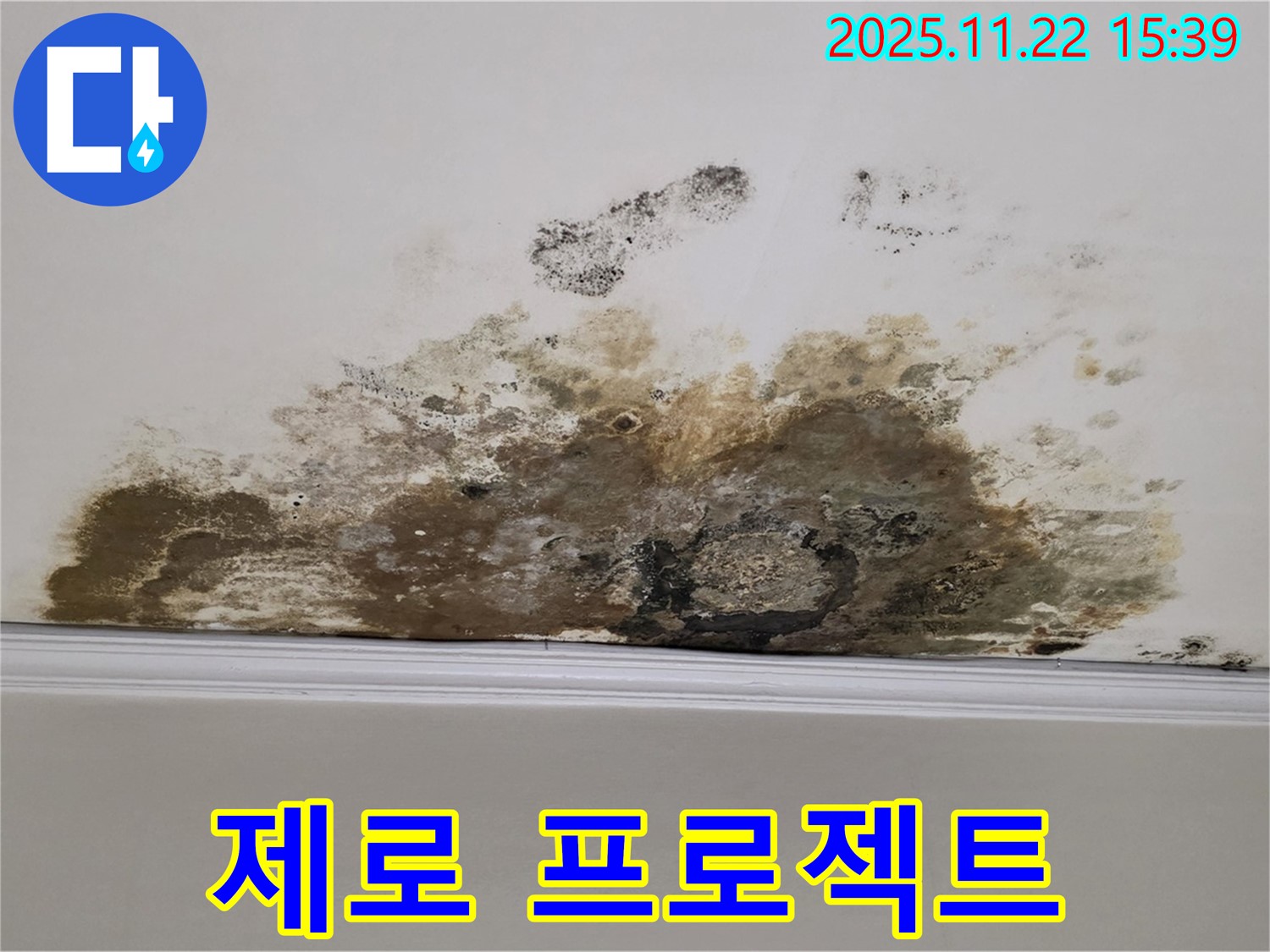 마포구 용강동 아파트 누수 - 곰팡이 제로, 청정 아파트 만들기 프로젝트!