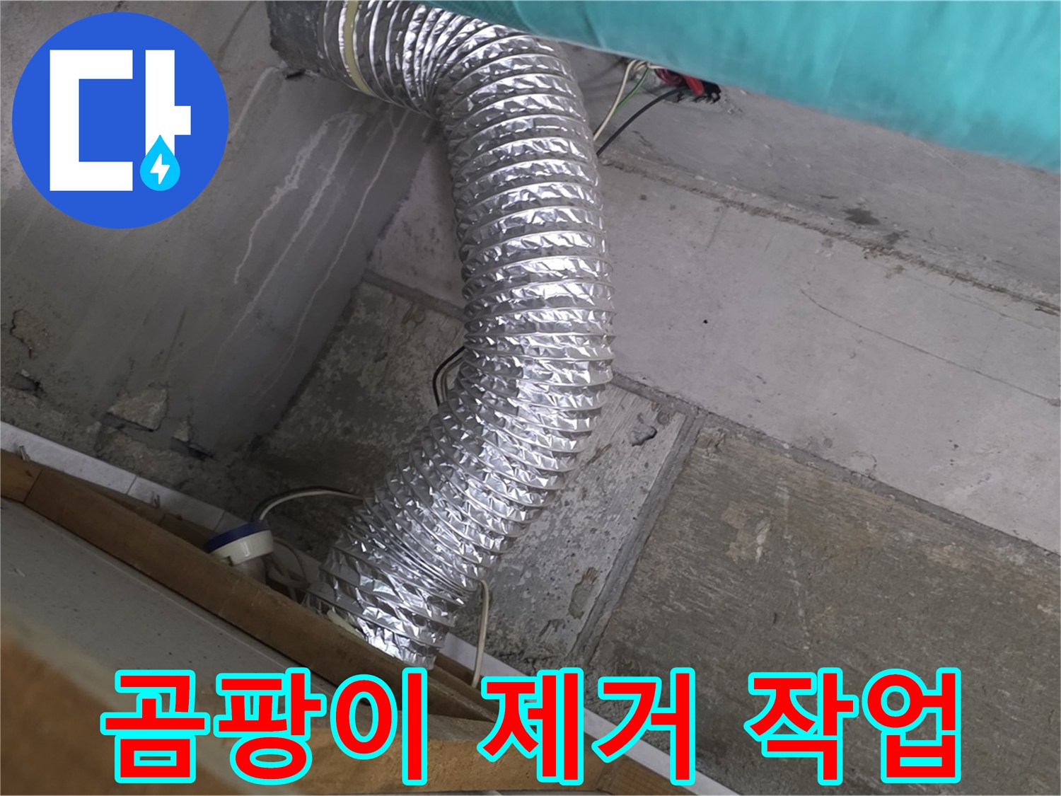 마포구 용강동 현대홈타운 누수 점검 - 욕실 환풍기 배관 주변 곰팡이 제거 작업 중