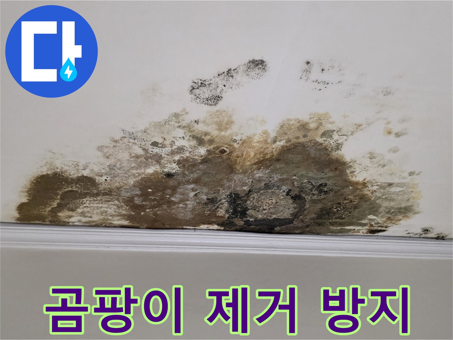 마포구 용강동 현대홈타운 아파트 - 곰팡이 천장 완벽 제거 및 재발 방지 시공