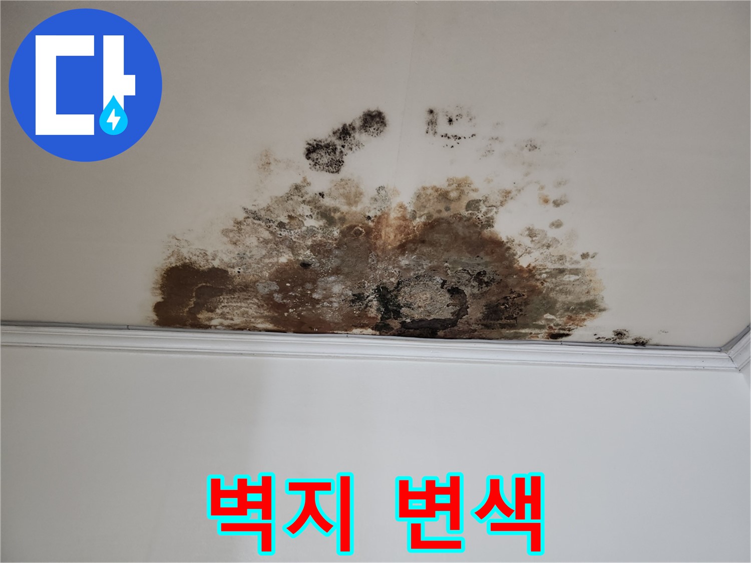 마포구 용강동 현대홈타운 천장 누수 - 벽지 변색