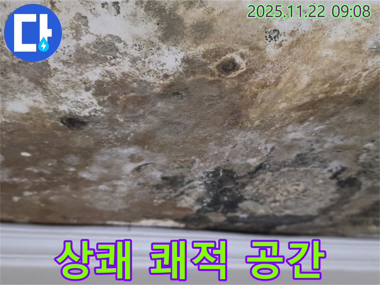 새창로8길 현대홈타운 - 곰팡이 OUT, 상쾌하고 쾌적한 공간 IN!