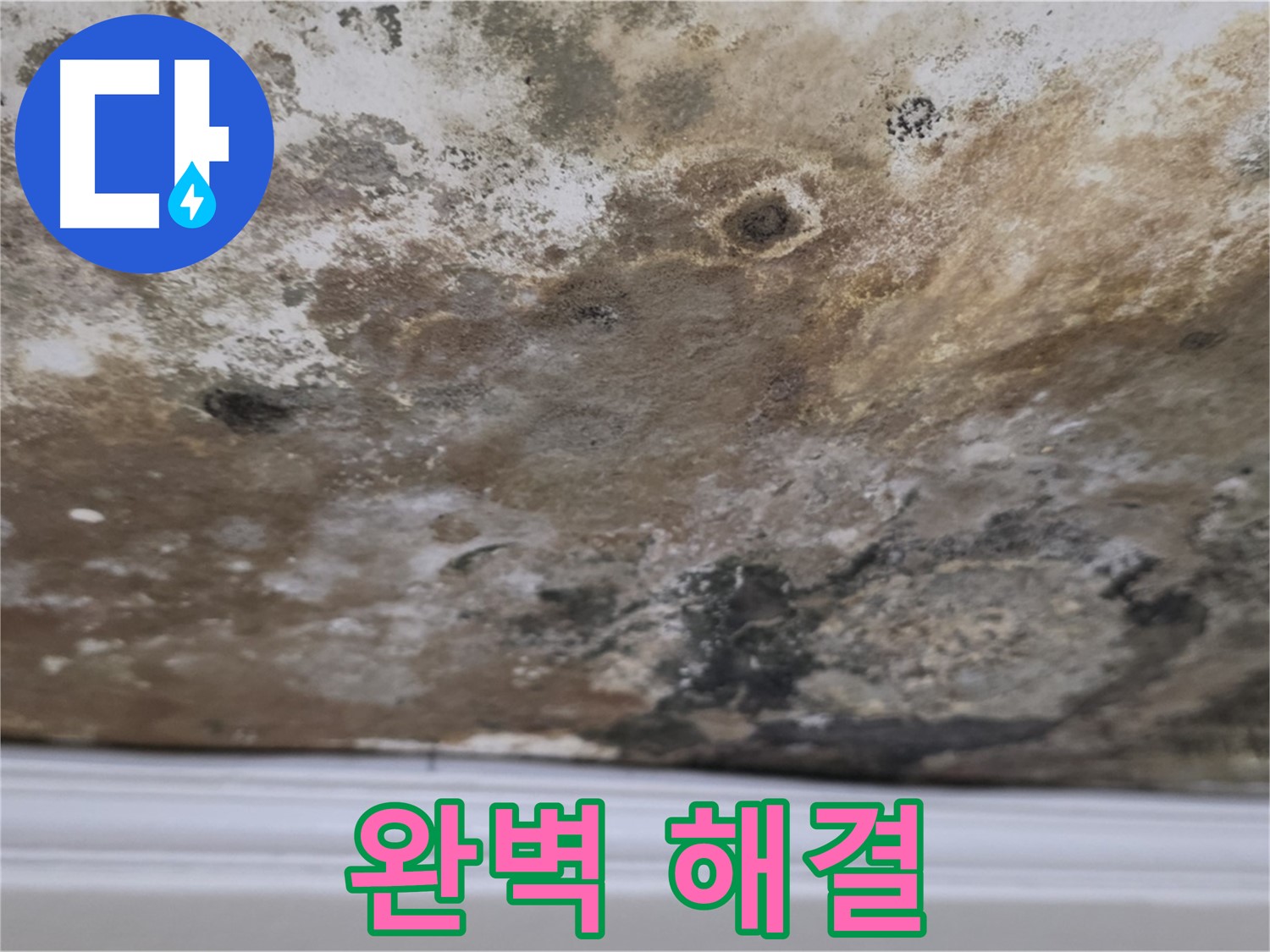 완벽한 누수 해결 - 고객 맞춤형 솔루션을 제공합니다