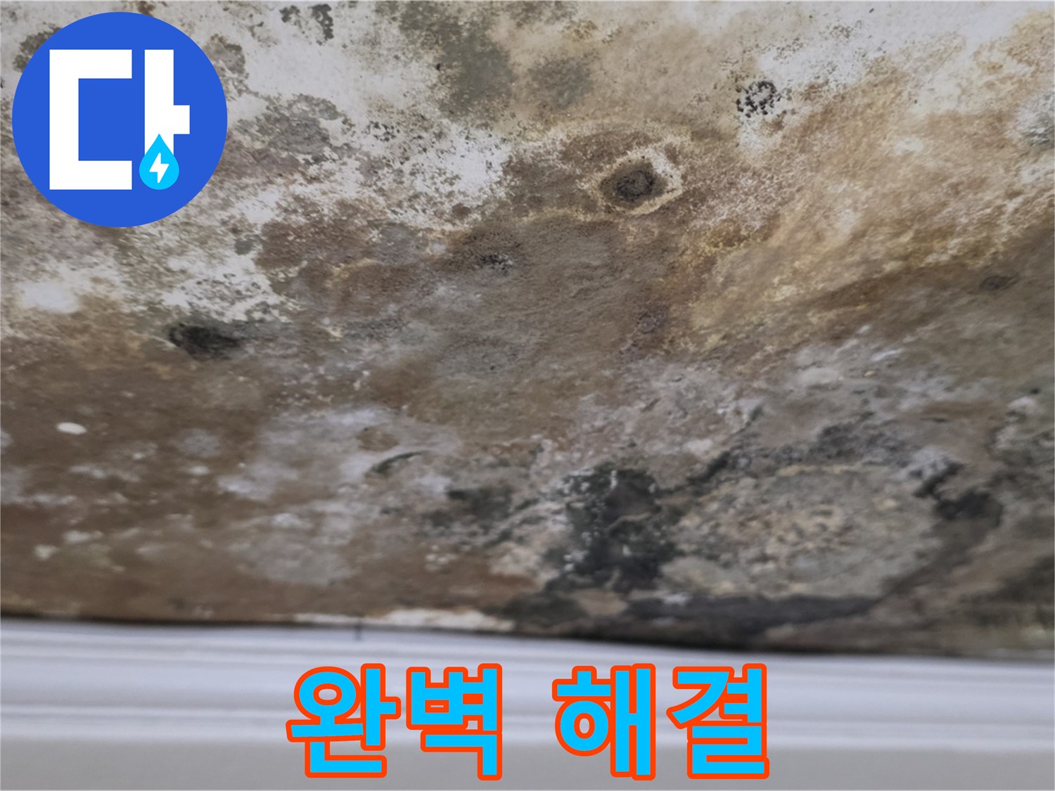 완벽한 누수 해결 - 고객 맞춤형 솔루션을 제공합니다!