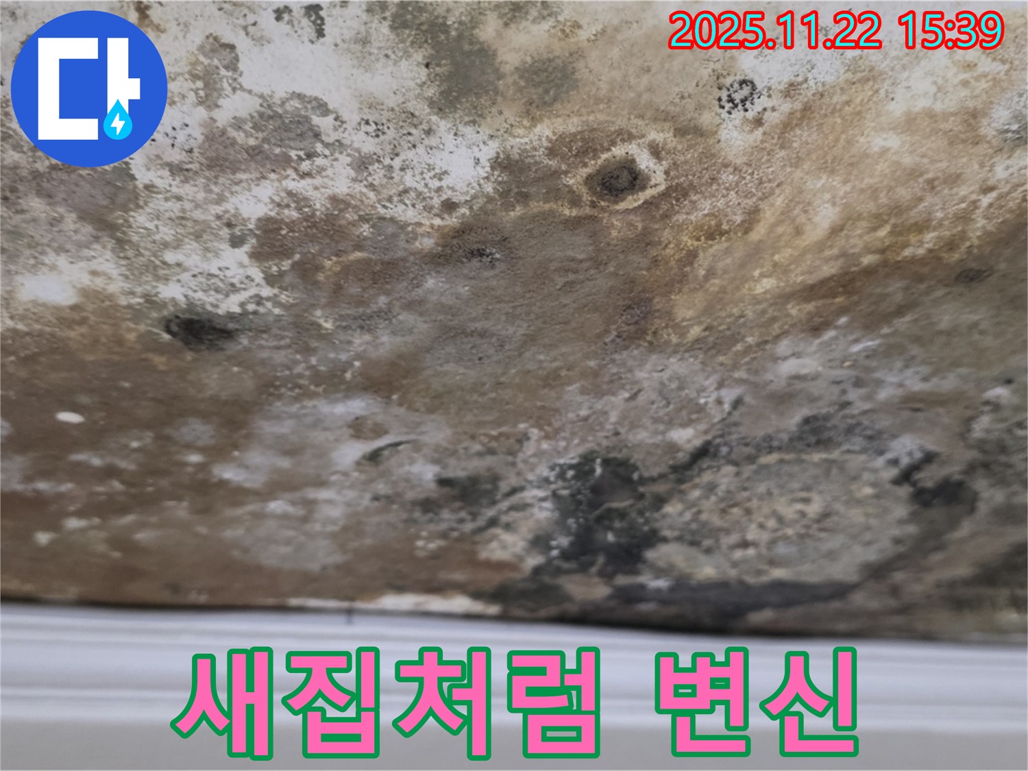 용강동 누수 - 곰팡이 천장, 누수 해결 후 새집처럼 변신
