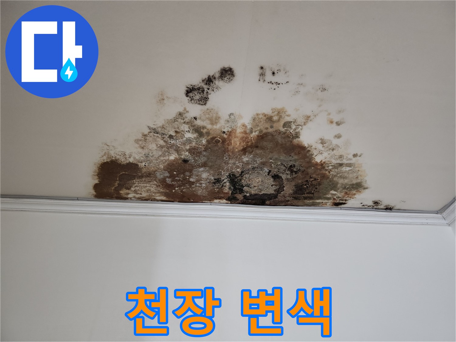 용강동 누수 - 곰팡이로 변색된 천장
