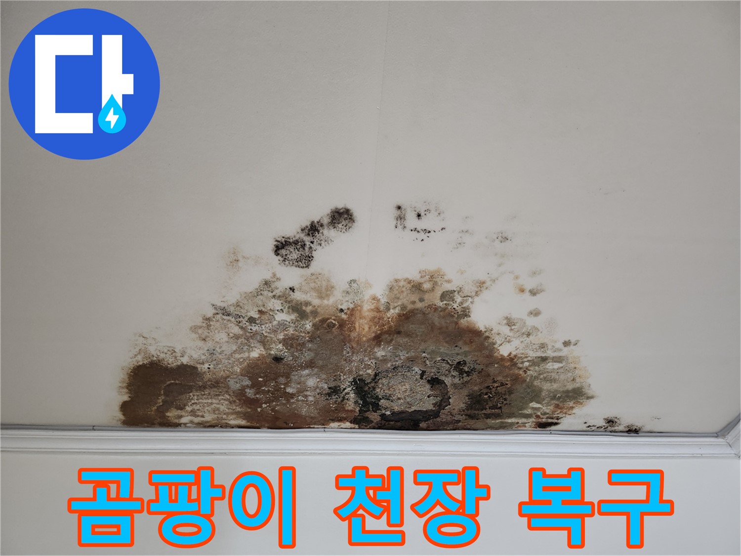 용강동 아파트 누수 - 곰팡이 천장 완벽 복구 및 고객 만족도 최상