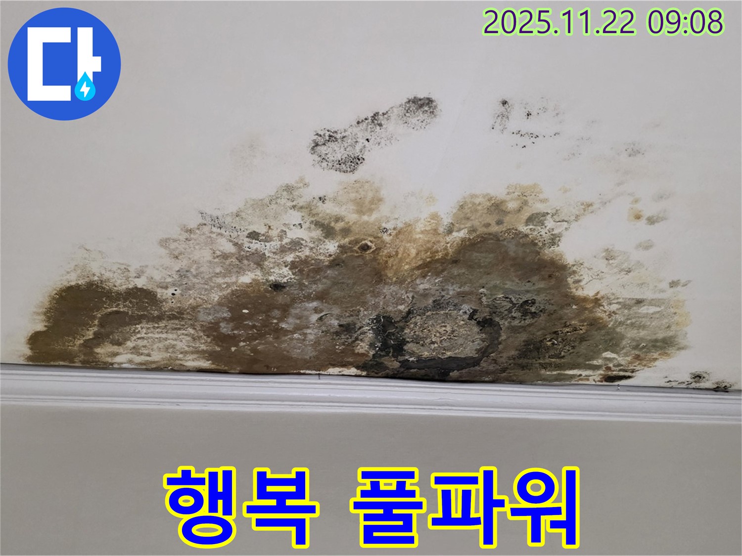 용강동 아파트 누수 - 곰팡이와의 질긴 악연 완전 청산, 쾌적한 공간에서 행복 풀파워!
