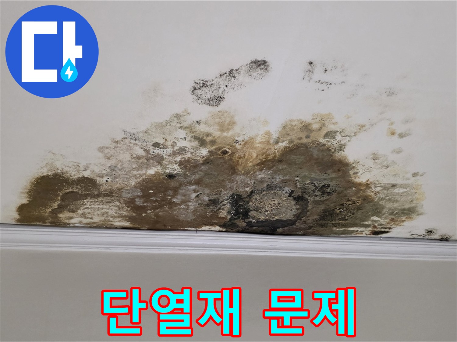 용강동 현대홈타운 아파트 누수 - 곰팡이 - 곰팡이 - 낡은 단열재 문제일 수도