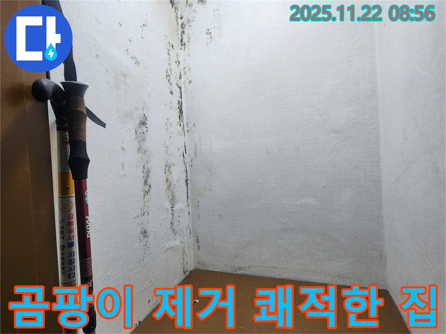 곰팡이 제거 후 쾌적한 보금자리로 변신