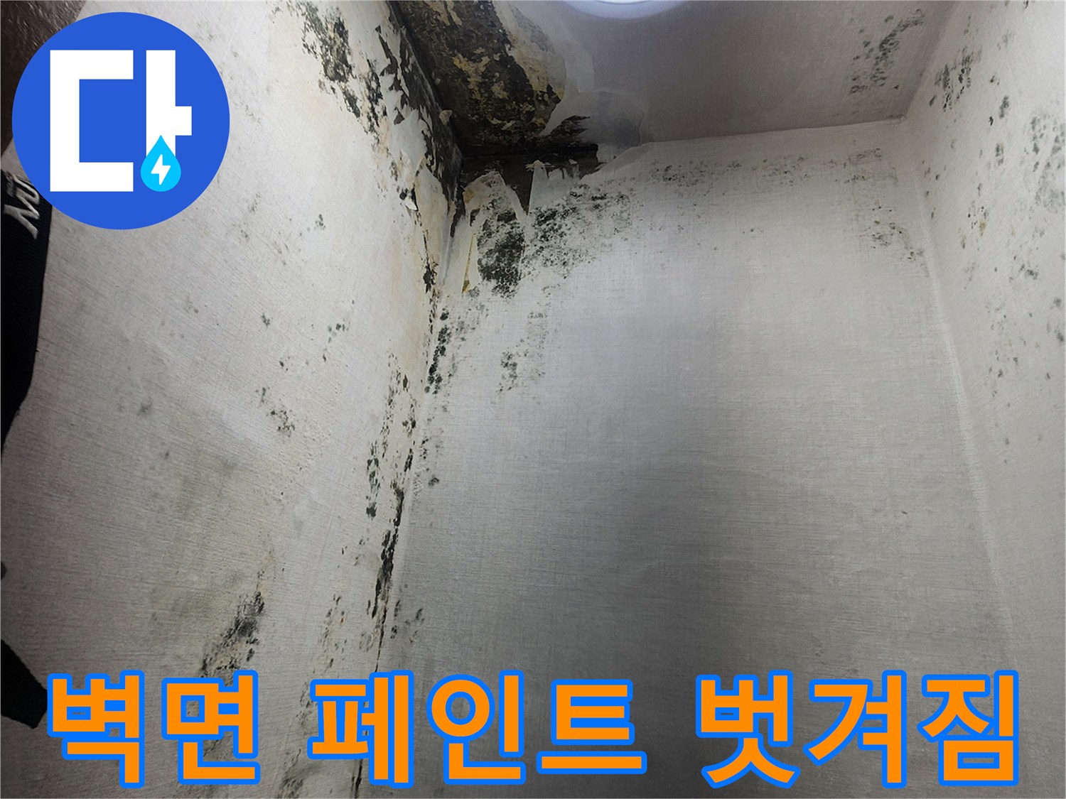 누수로-인해-벗겨지고-곰팡이가-핀-벽면