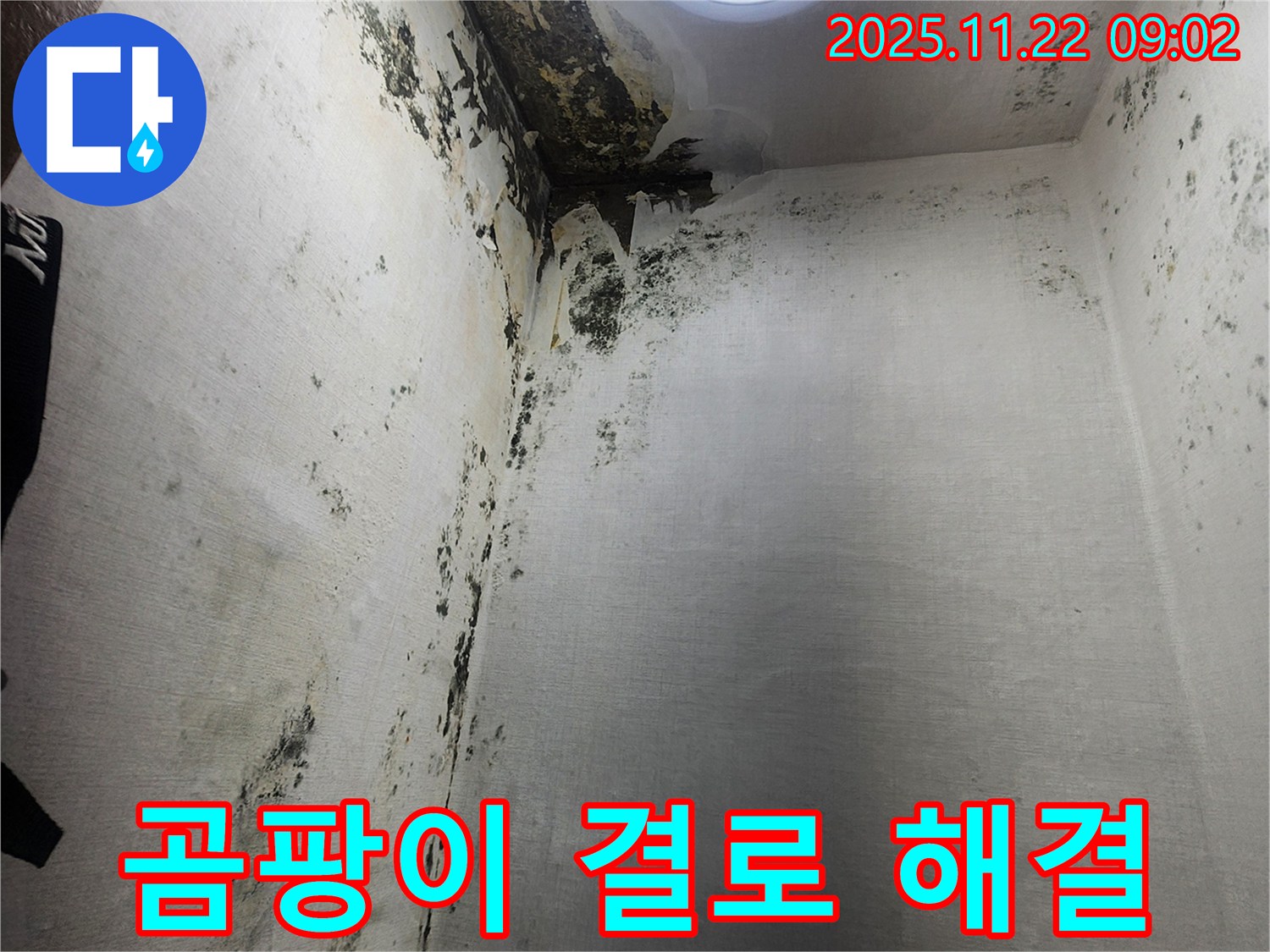 신곡1동 누수 - 곰팡이와 결로 문제를 완벽하게 해결하는 과정