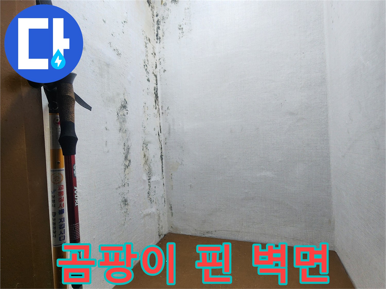 의정gsub-신곡동-다용도실-벽면-곰팡이-및-오염-상태