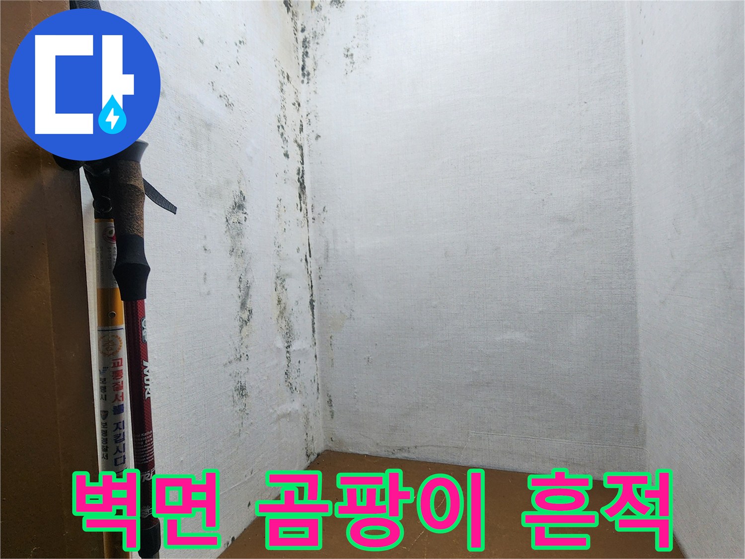 의정부 신곡동 현장-벽면에 퍼진 검은 곰팡이와 습기 흔적