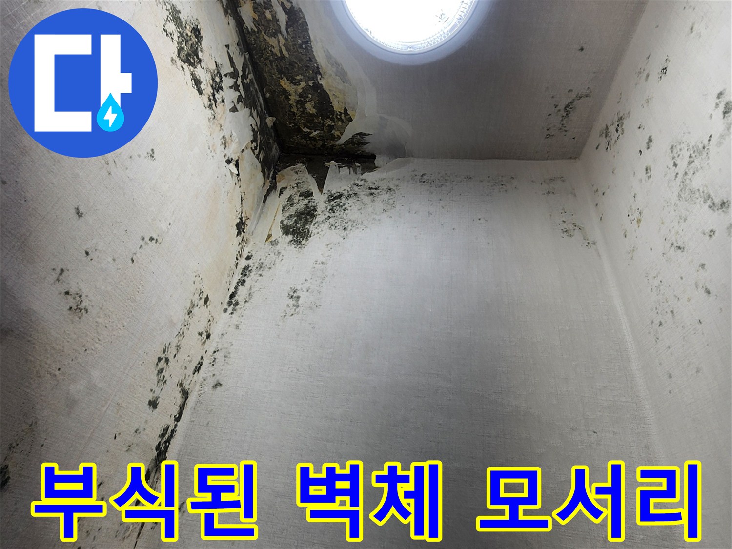 창문 하단-모서리 부위의-심각한 누수 흔적과 곰팡이