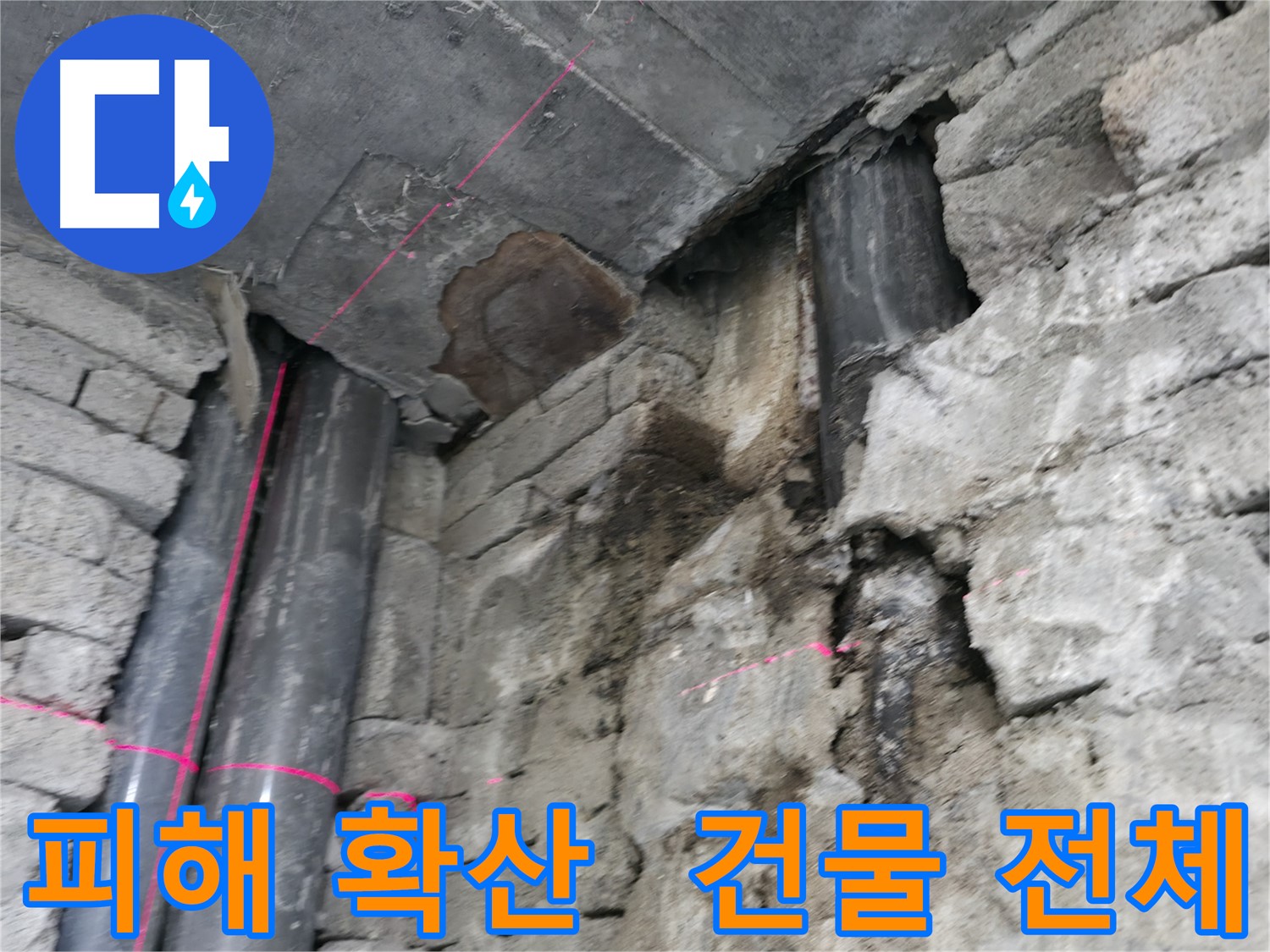서초동 명달로4길 건물 누수 - 아랫층과 지하층까지 피해가 확산된 심각한 누수 상황입니다.