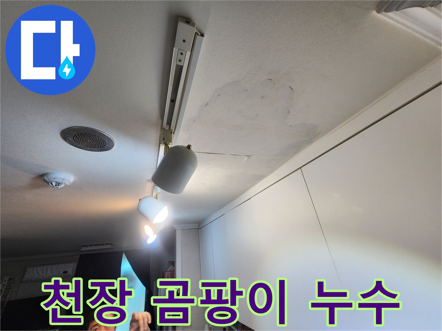 공릉2단지 아파트 누수 - 천장 곰팡이 건강 위협 - 곰팡이 제거 시급
