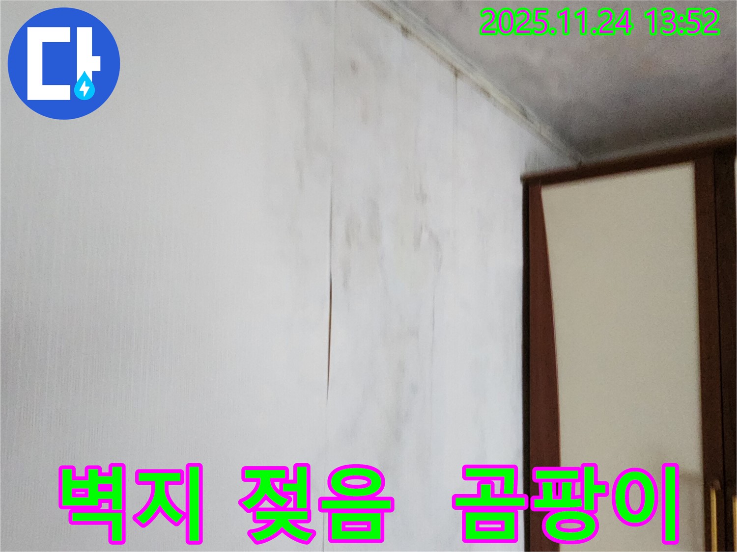 가산면 누수 탐지 - 벽지 젖음과 곰팡이 문제 해결, 곰팡이 방지 시공