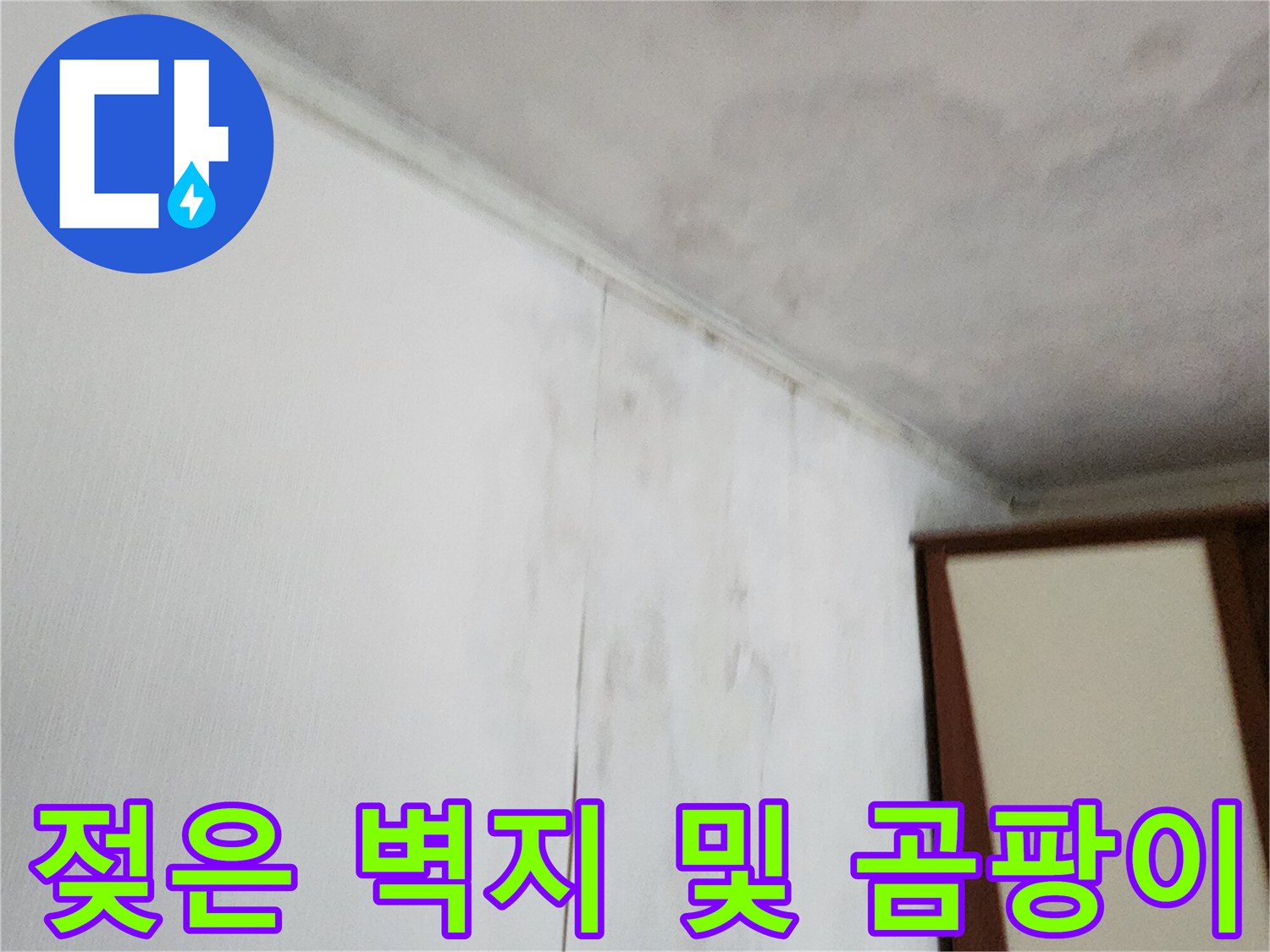 가산면 현장 사진-습기로 인해 변색된 천장과 벽면 상단부