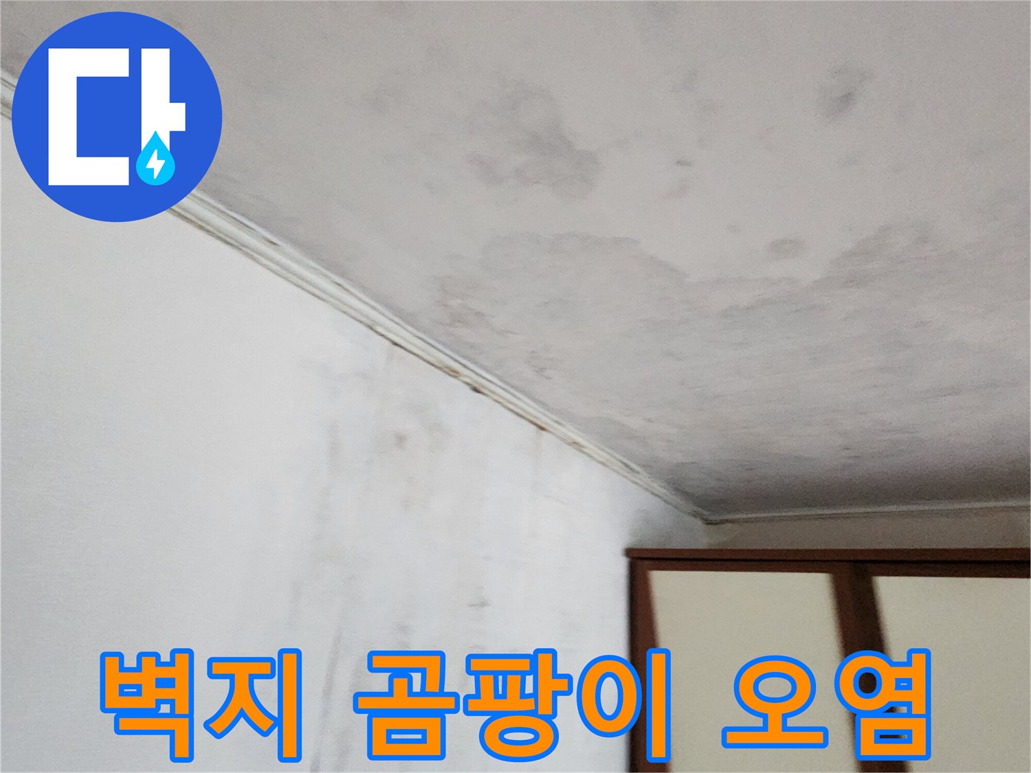 넓게 퍼진 천장 곰팡이와 벽지 변색 부위