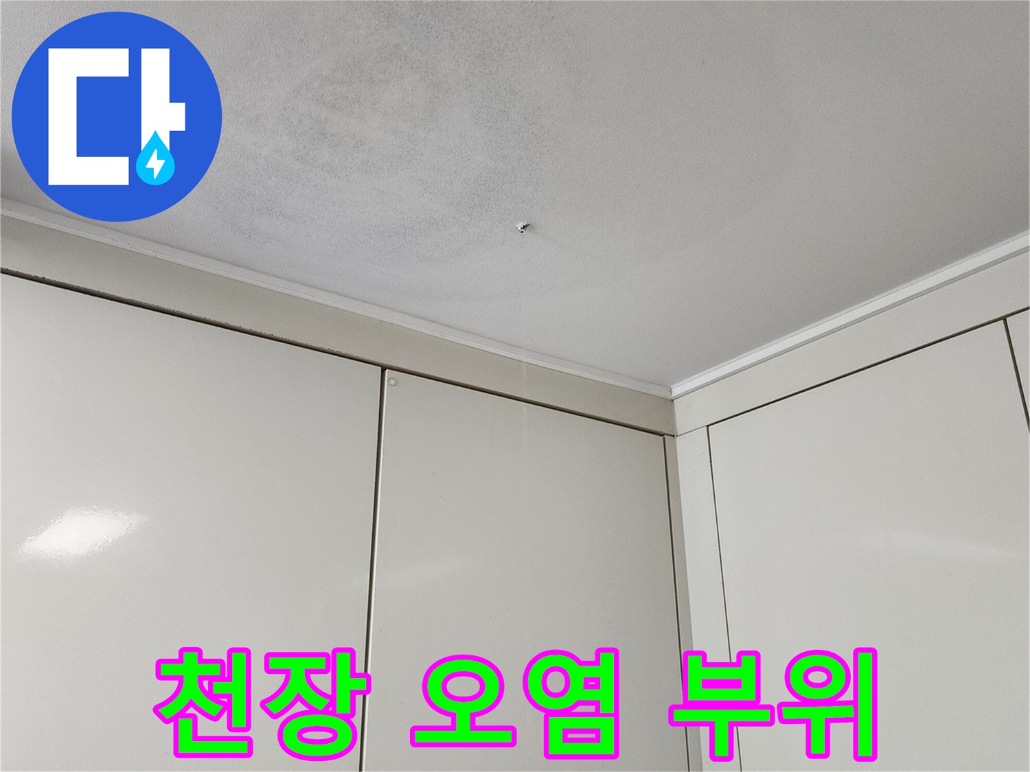 넓게 퍼진-천장지의 변색과 곰팡이 자국
