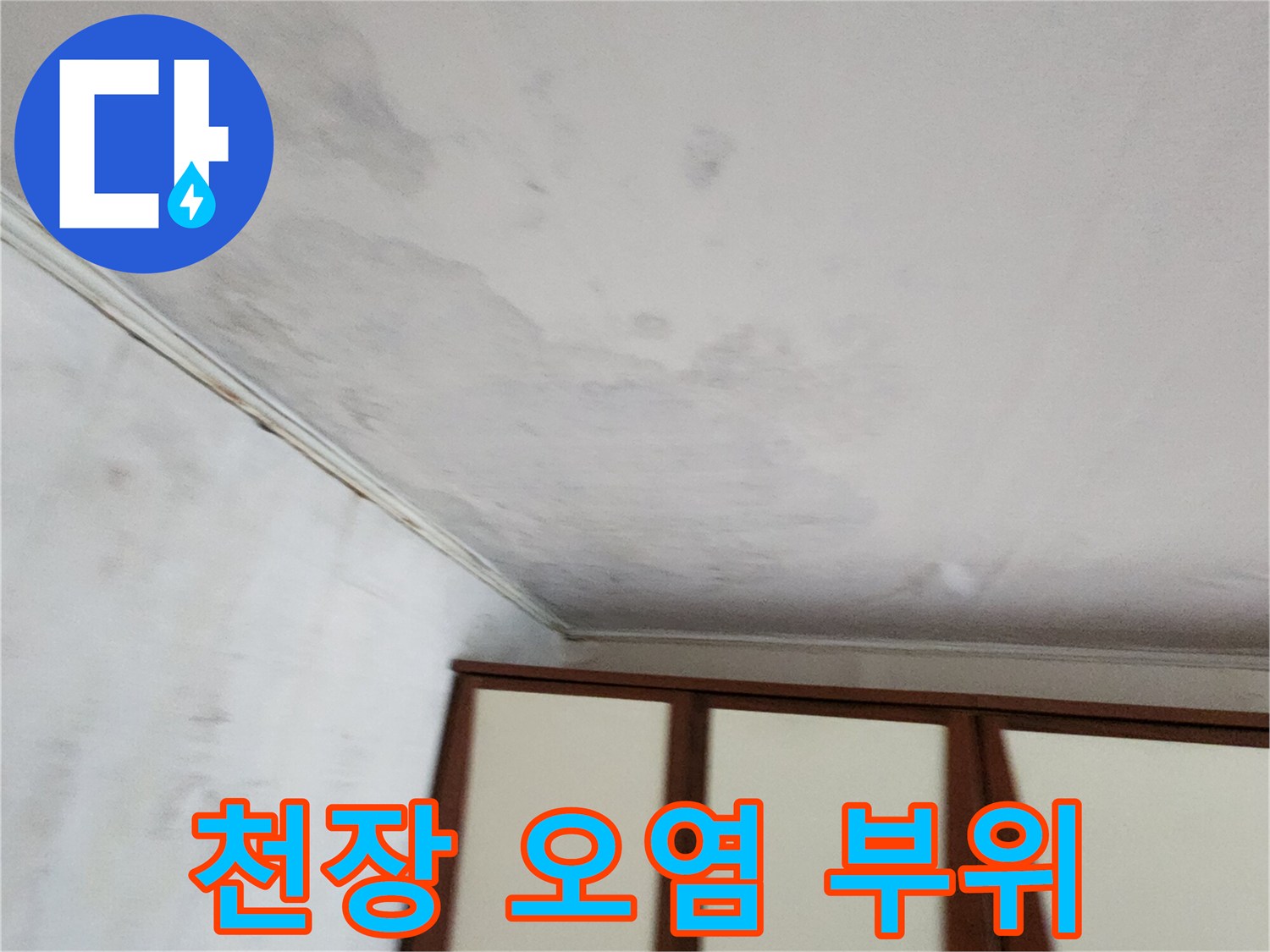 물샘 현상으로 인해 곰팡이가 번진 천장 상태