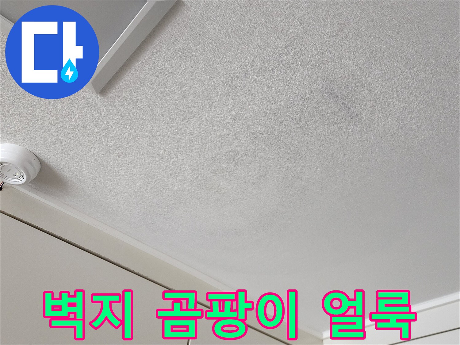 천장 마감재에 나타난 누수 및 곰팡이 흔적