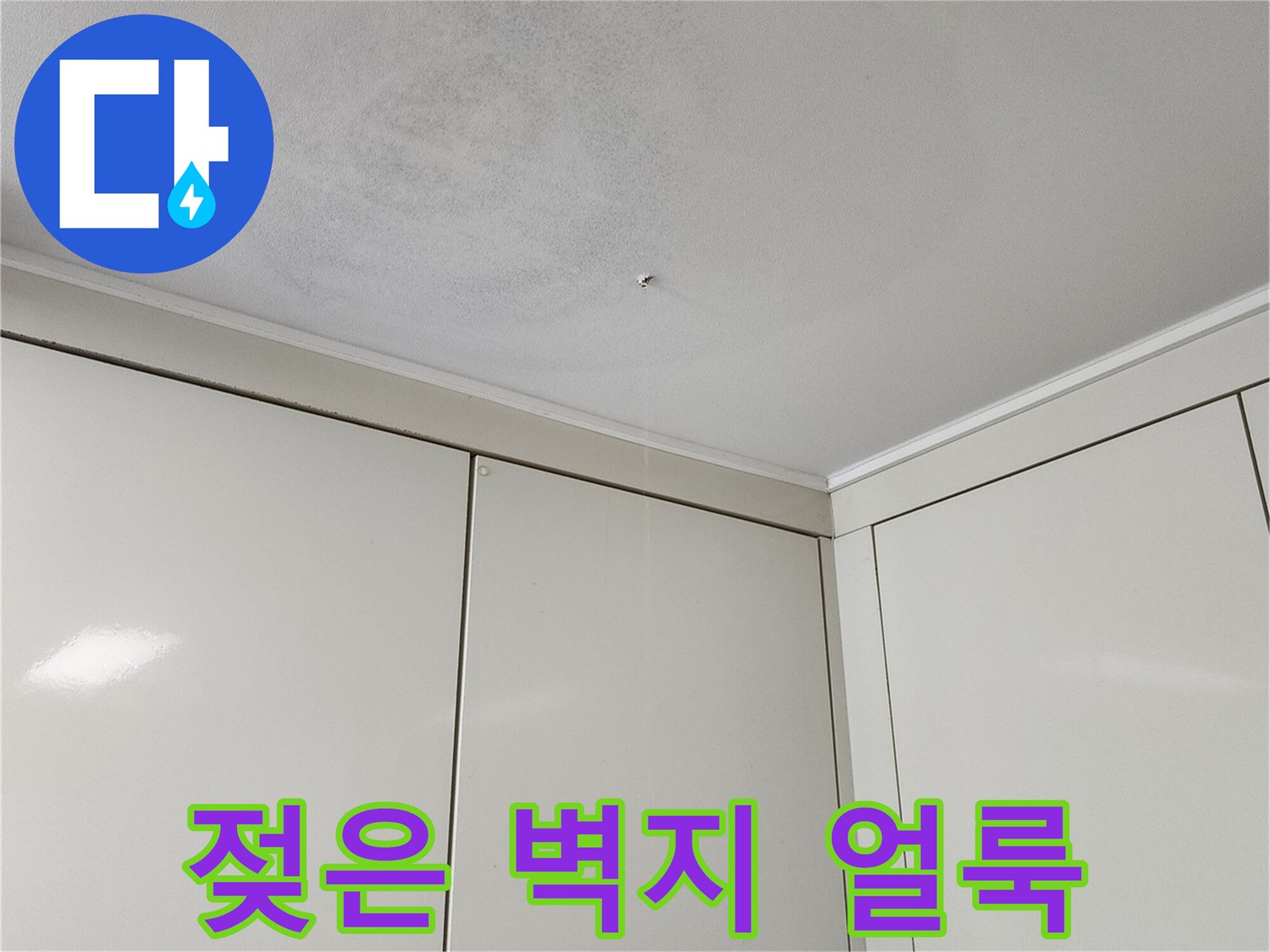 천장 면적에 걸쳐 나타난 젖은 듯한 어두운 얼룩