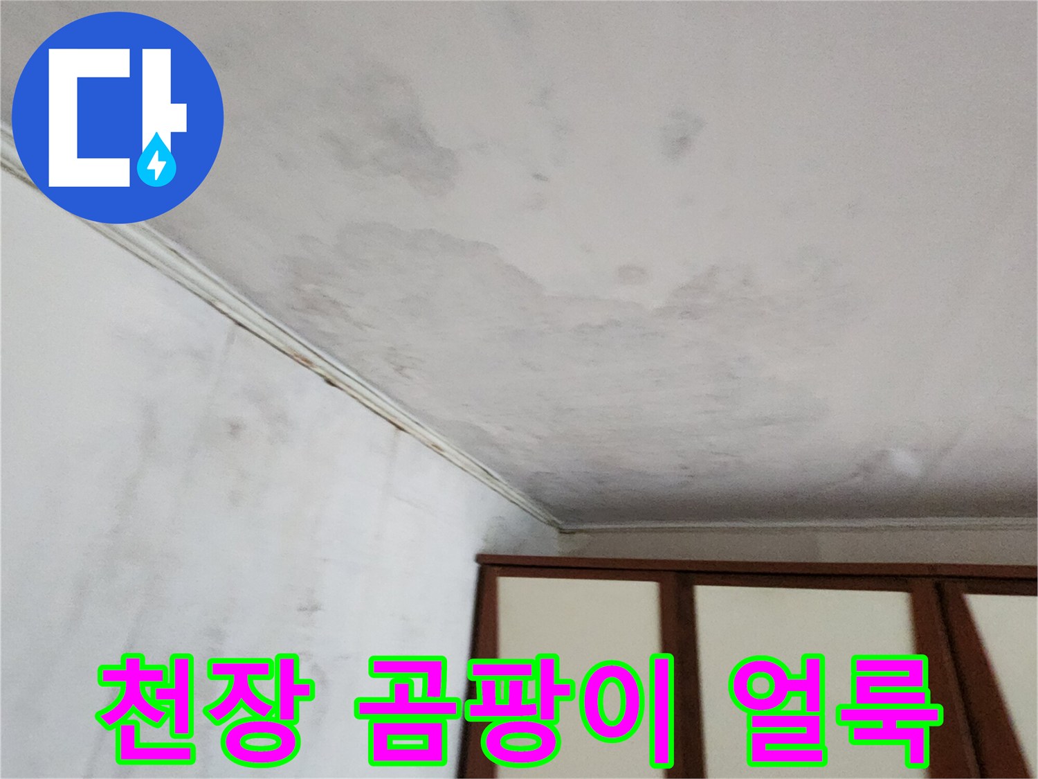 천장-벽면-상단에-퍼진-곰팡이와-습기-흔적