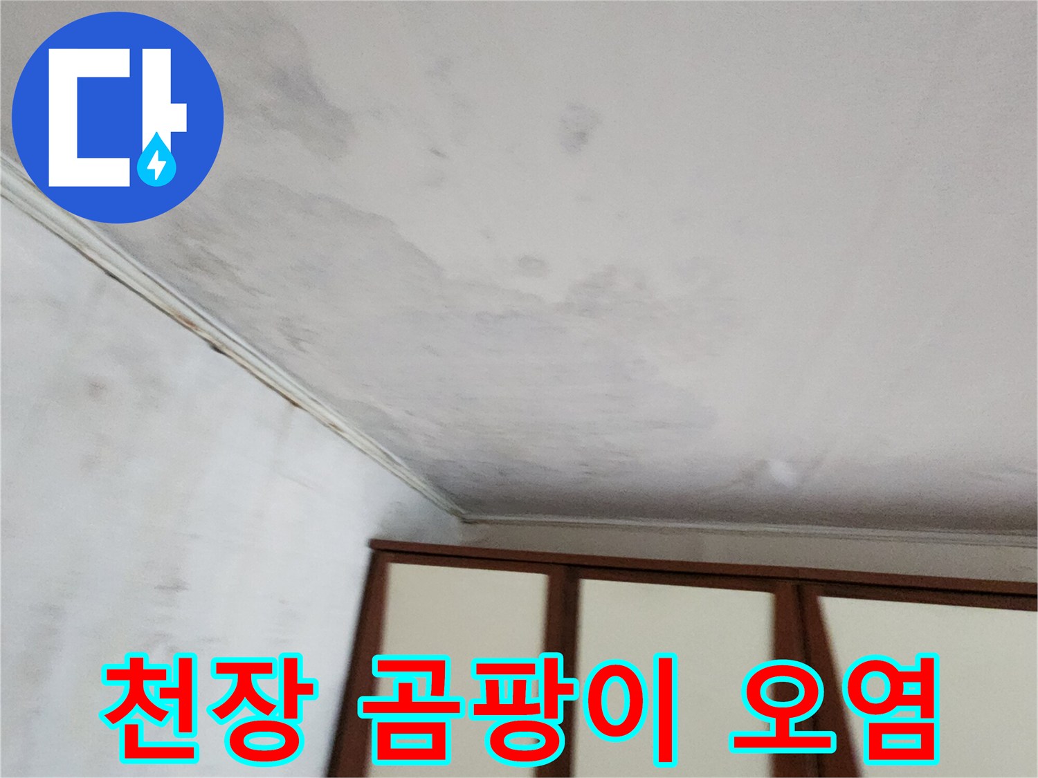 천장 부근에 발생한 광범위한 곰팡이와 누수 흔적