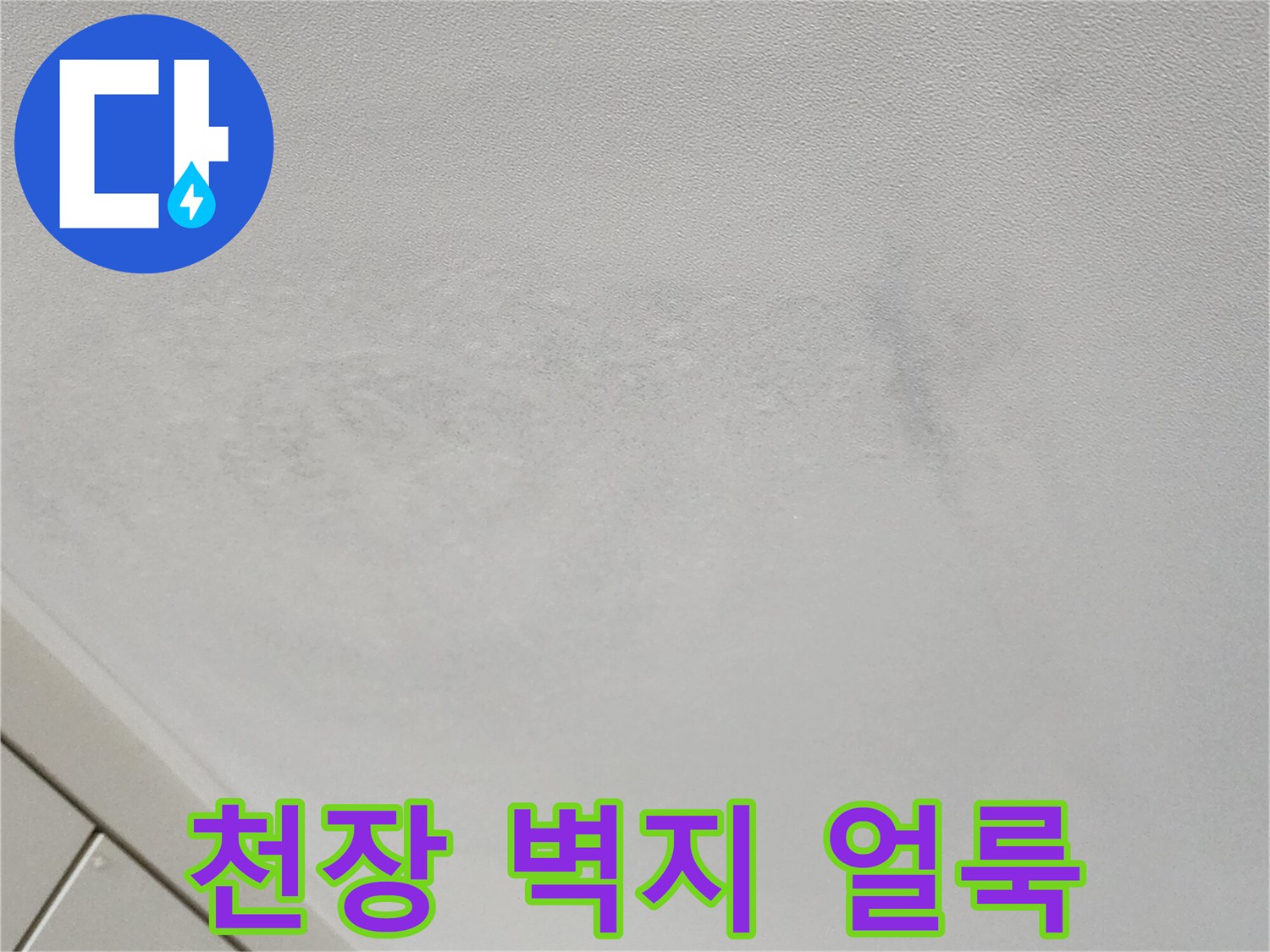 포천 가산면 현장의 천장 벽지 변색 및 얼룩 상태
