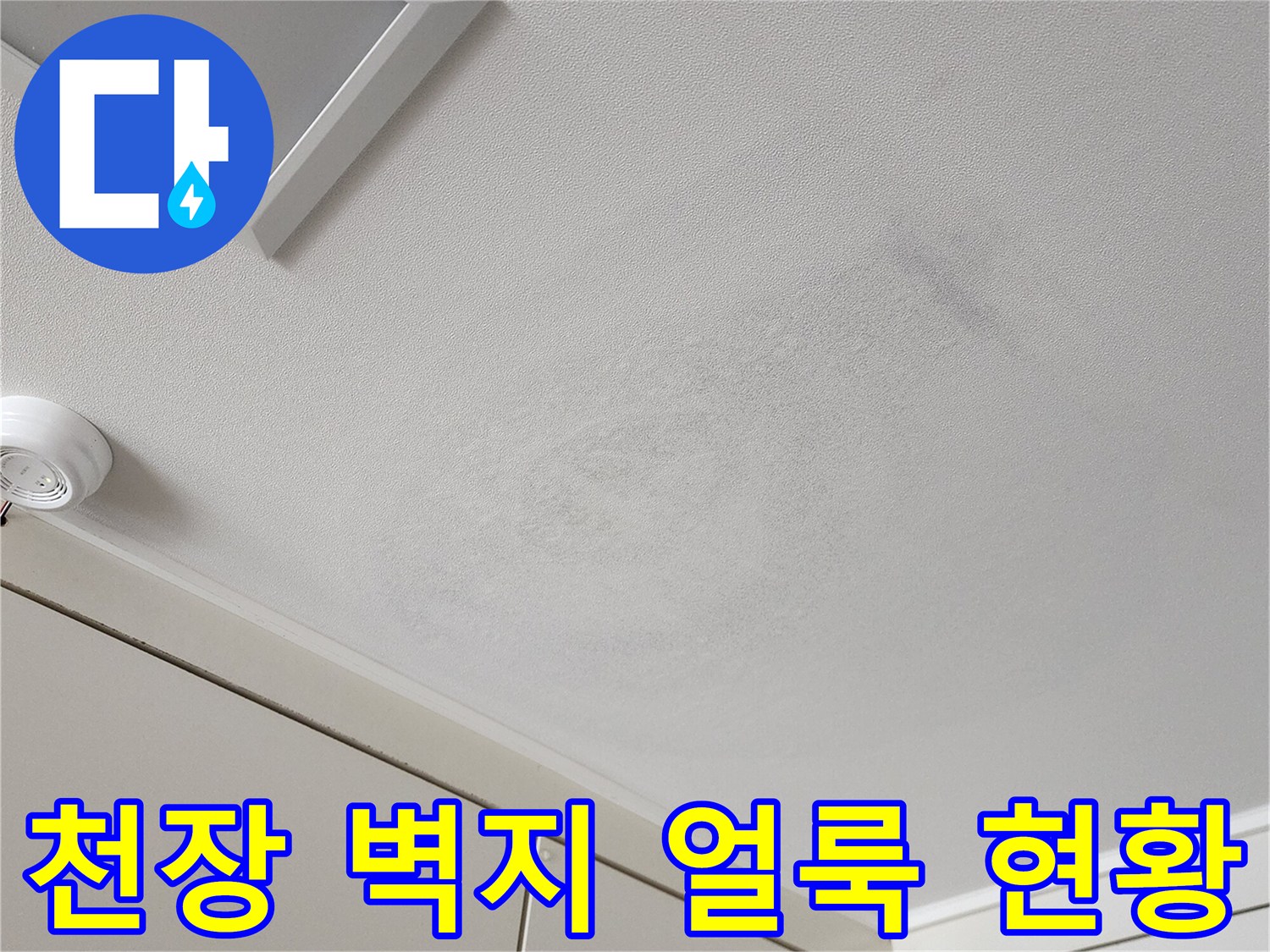 포천 가산면 현장의-천장 벽지 오염 및 변색 상태를 보여주는 사진입니다.