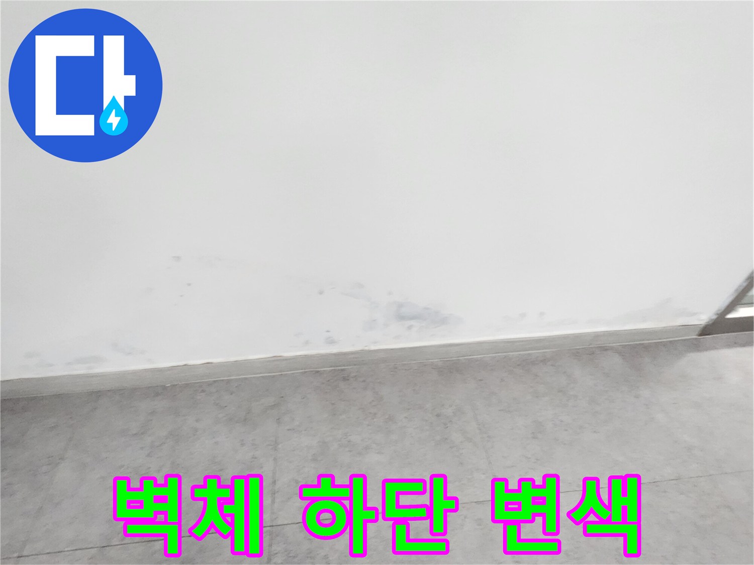 신북면 카페 현장-벽면 하단부의 습기 머금은 얼룩