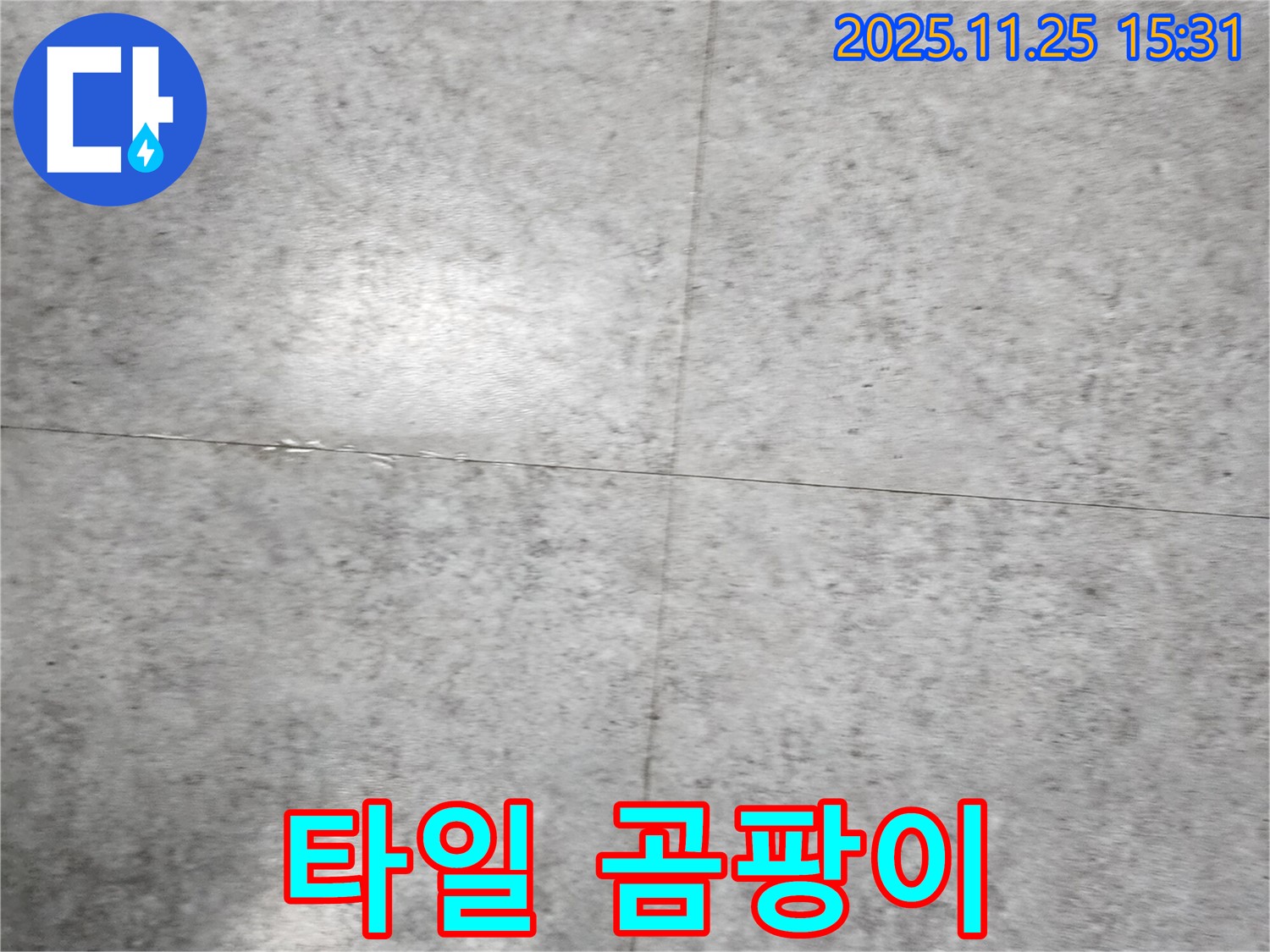 타일 곰팡이 - 곰팡이와 누수 문제, 한 번에 해결하세요!