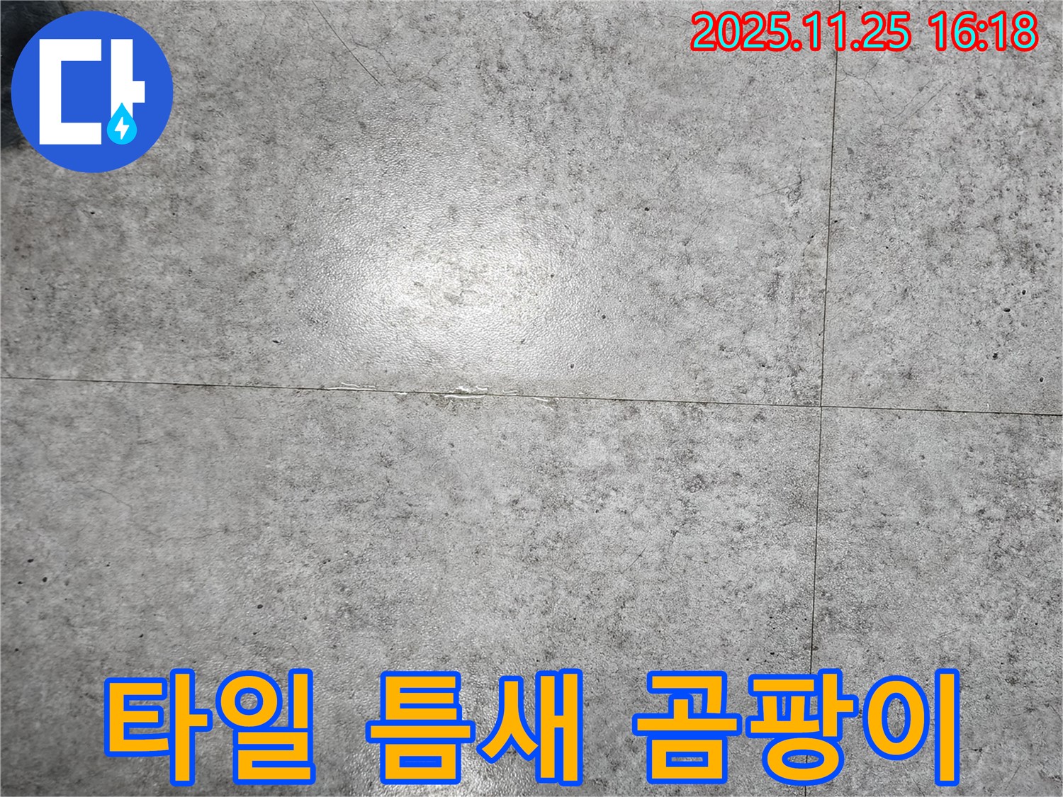 포천시 신북면에서 타일 틈새에 검은 곰팡이가 핀 모습 - 습기와 누수의 증거입니다.