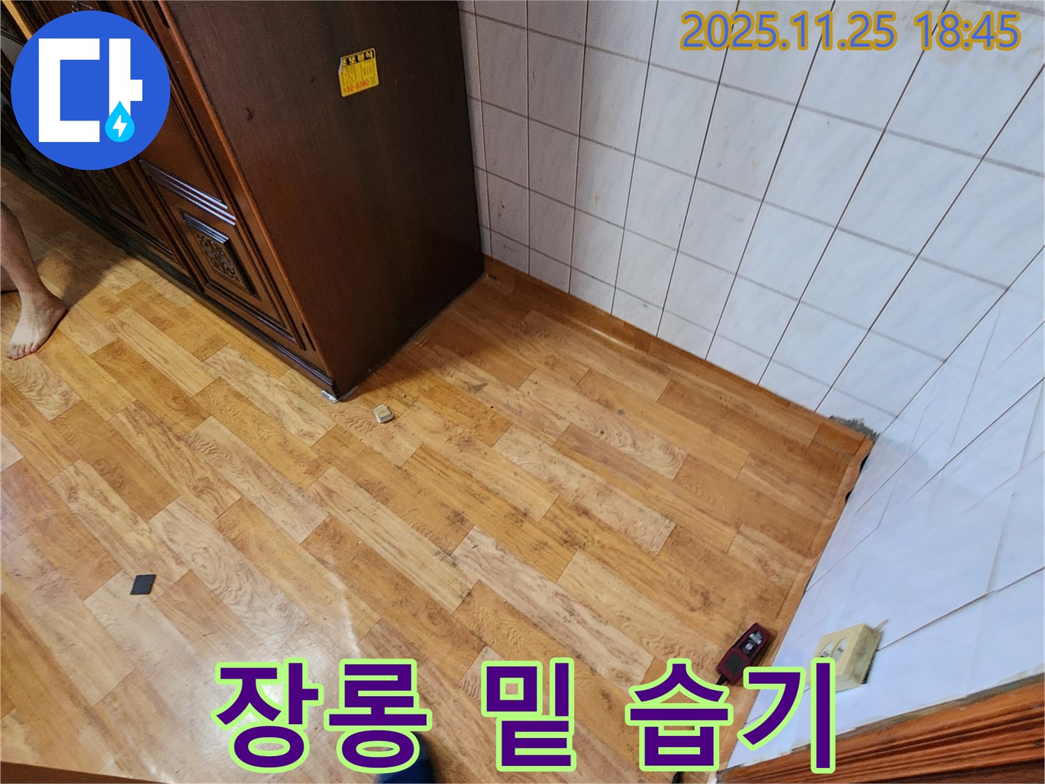 포천시 신북면 심곡리 - 장롱 밑 습기 - 곰팡이 번식 위험